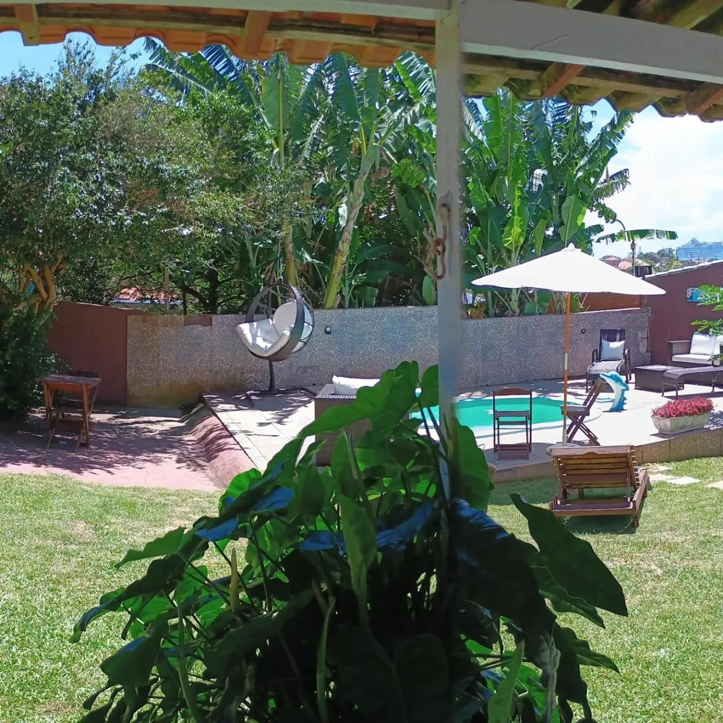 Garden view in Namorada Brava Guest House