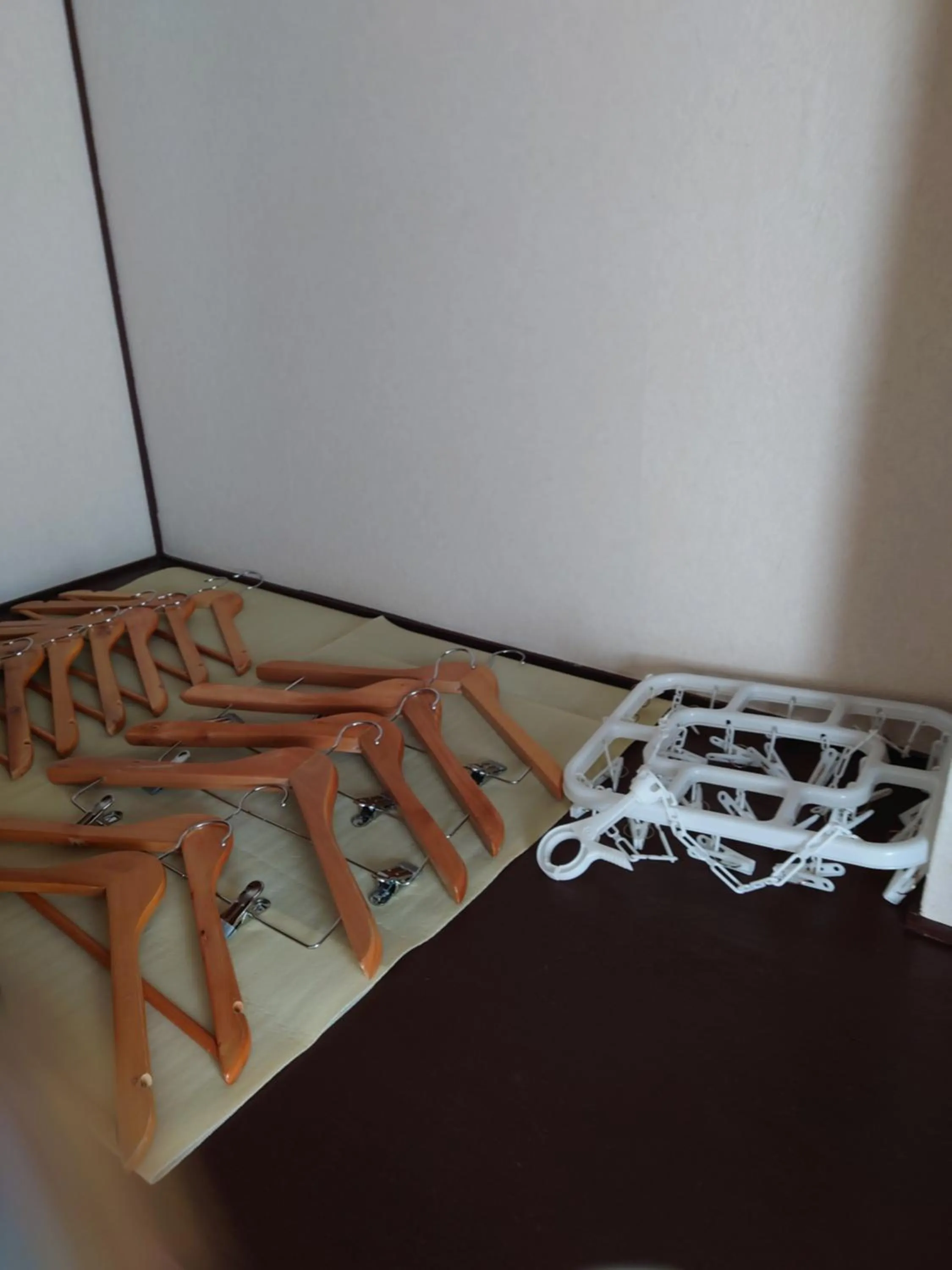 wardrobe in Maple Sumikawa #202