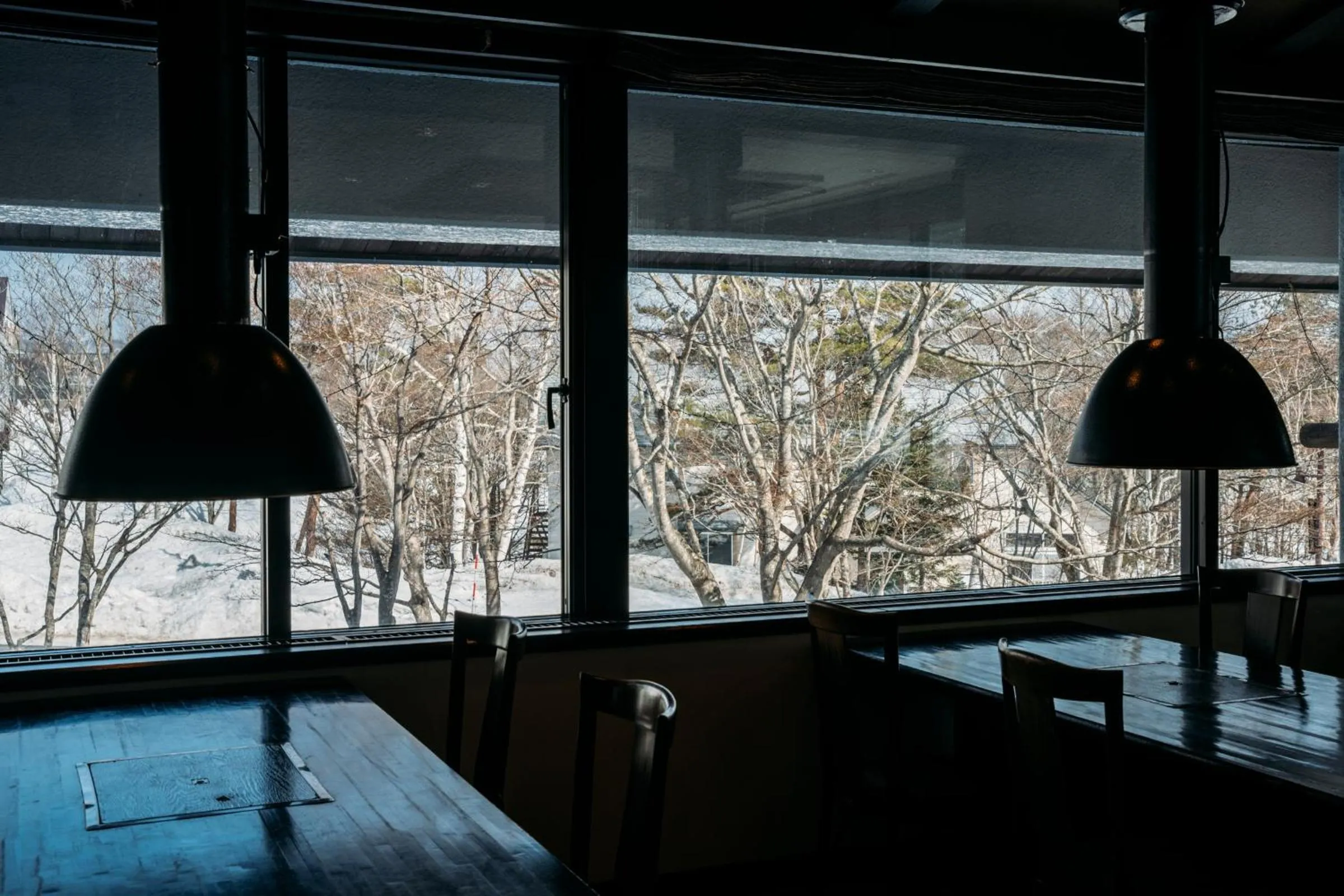 Winter in Apikogen Mori no Hotel