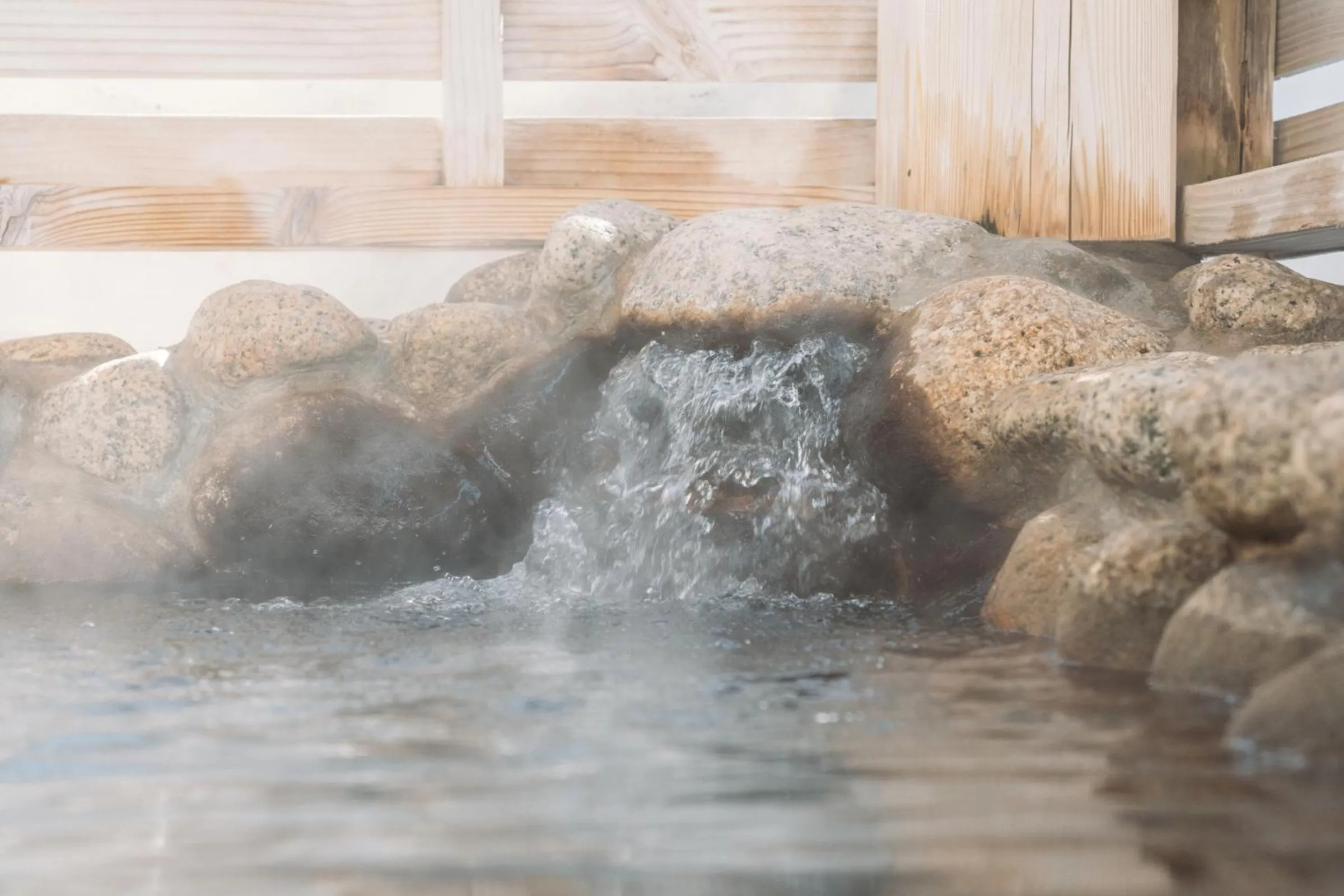 Hot Spring Bath in Apikogen Mori no Hotel