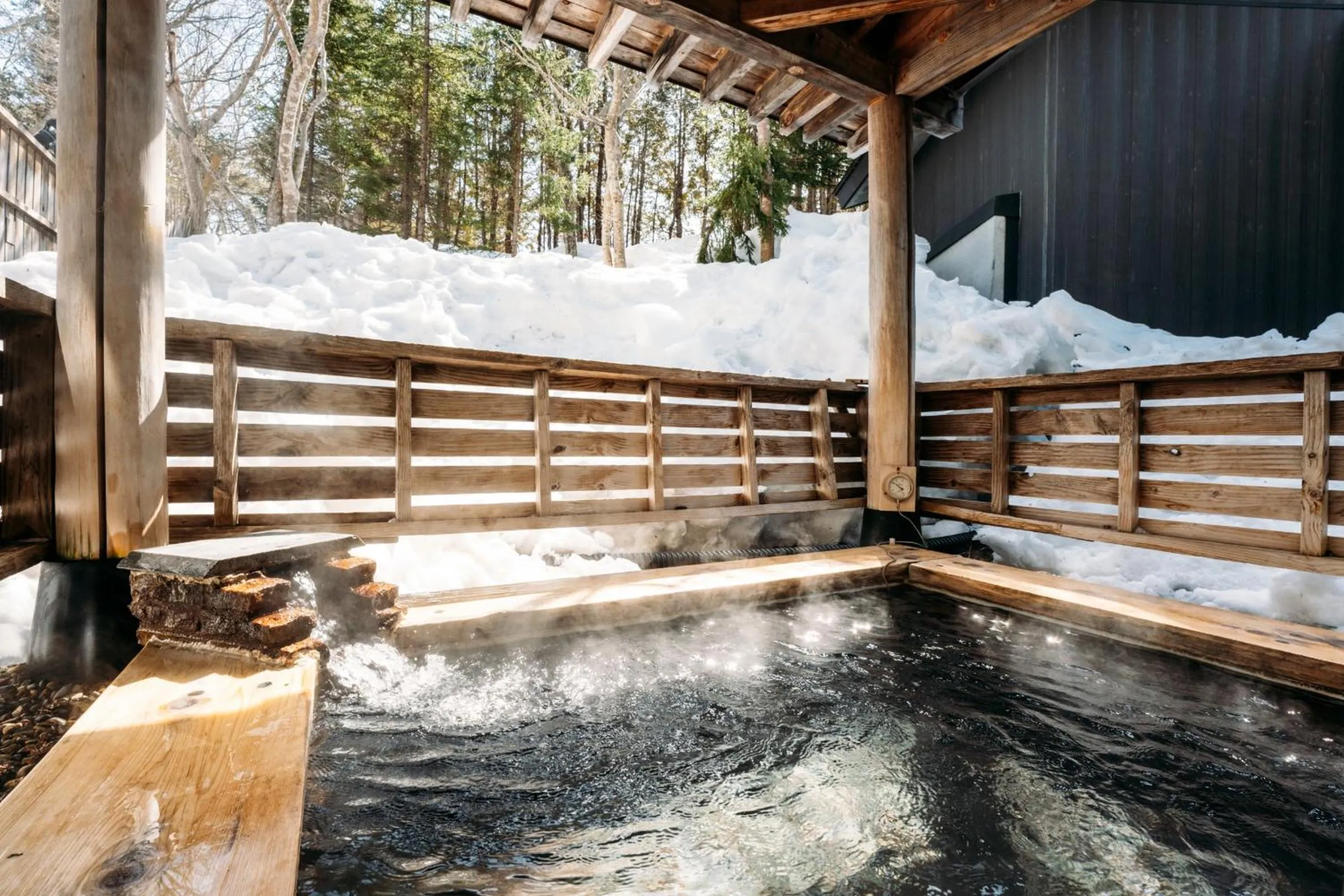 Hot Spring Bath in Apikogen Mori no Hotel