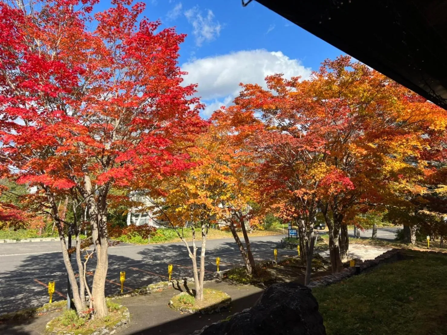 Natural landscape in Apikogen Mori no Hotel