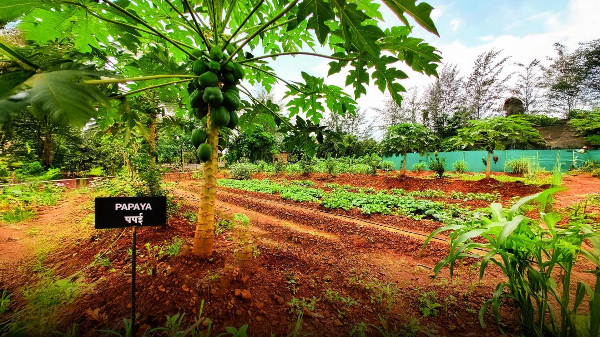 Pushpam Sanskruti Resort Karjat