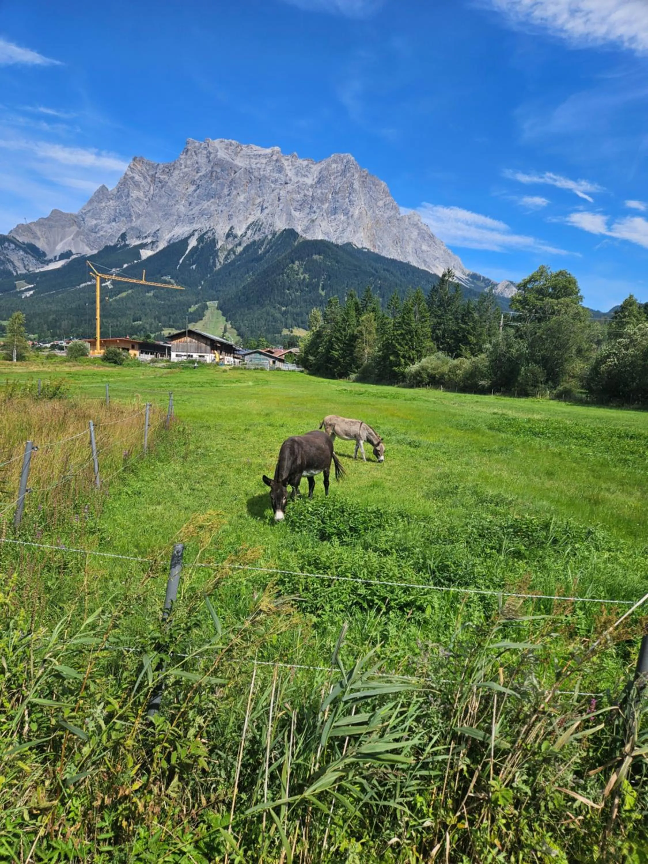 Nearby landmark in Sonnenburg Hotel