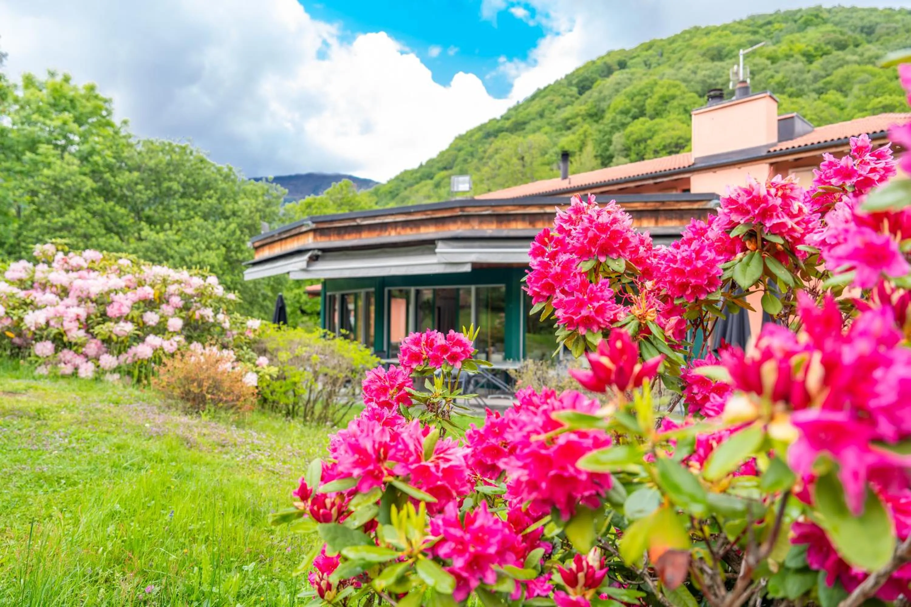Garden in Hotel Il Castagno