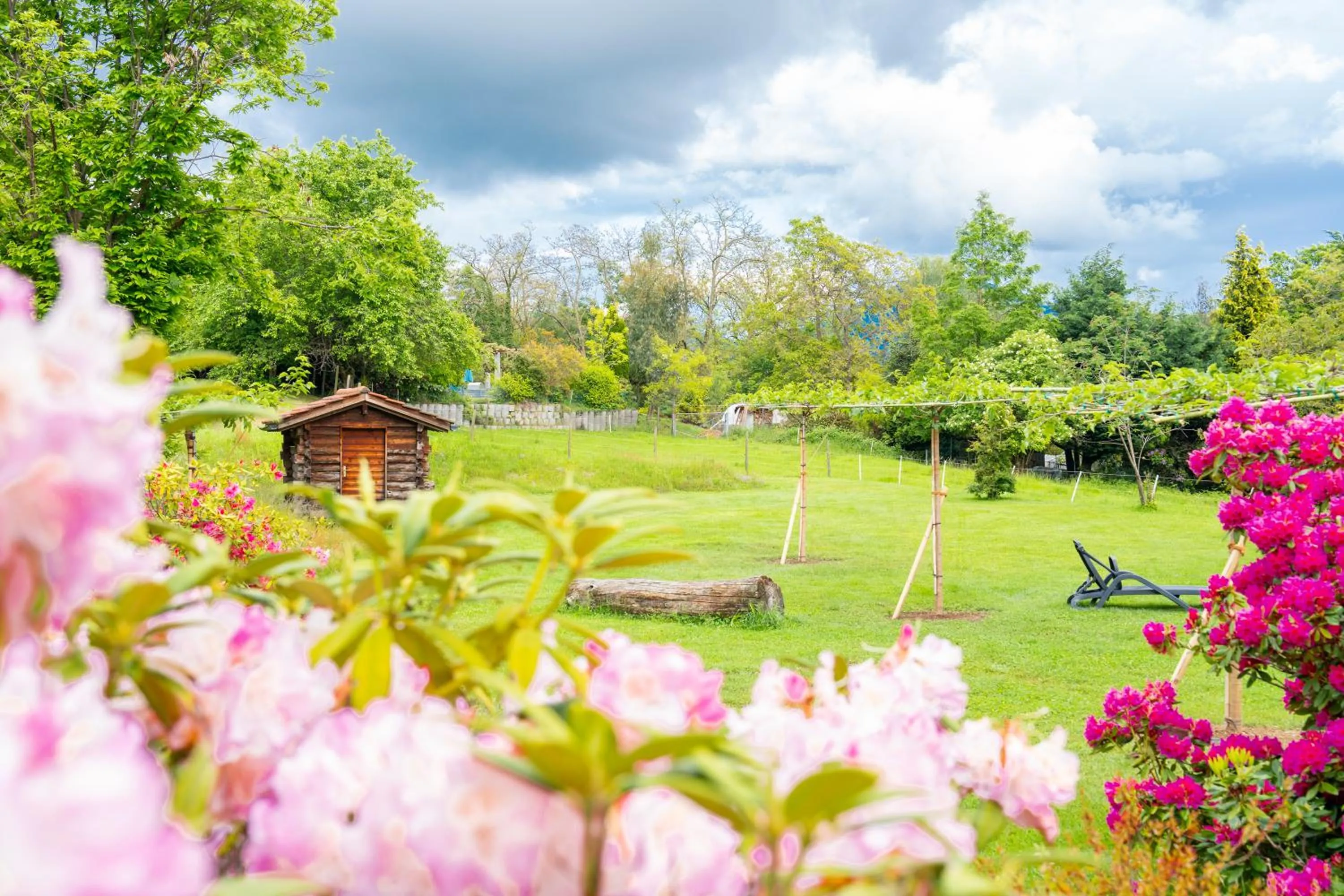 Garden in Hotel Il Castagno