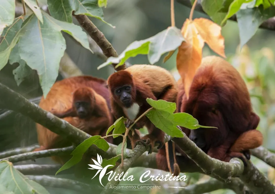 Nearby landmark in Villa Cristina - Casa Boutique