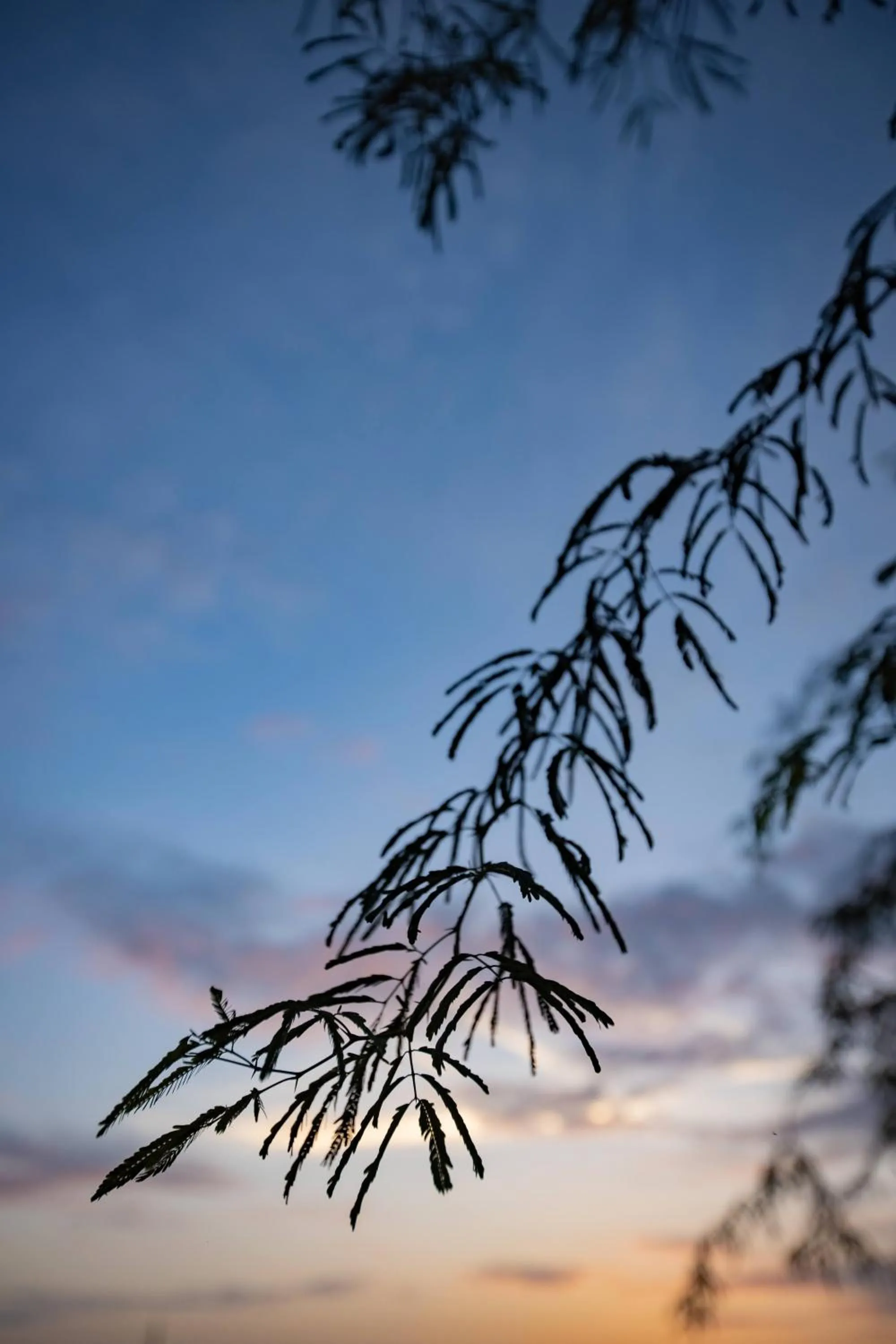 Natural landscape in Nature Village Resort