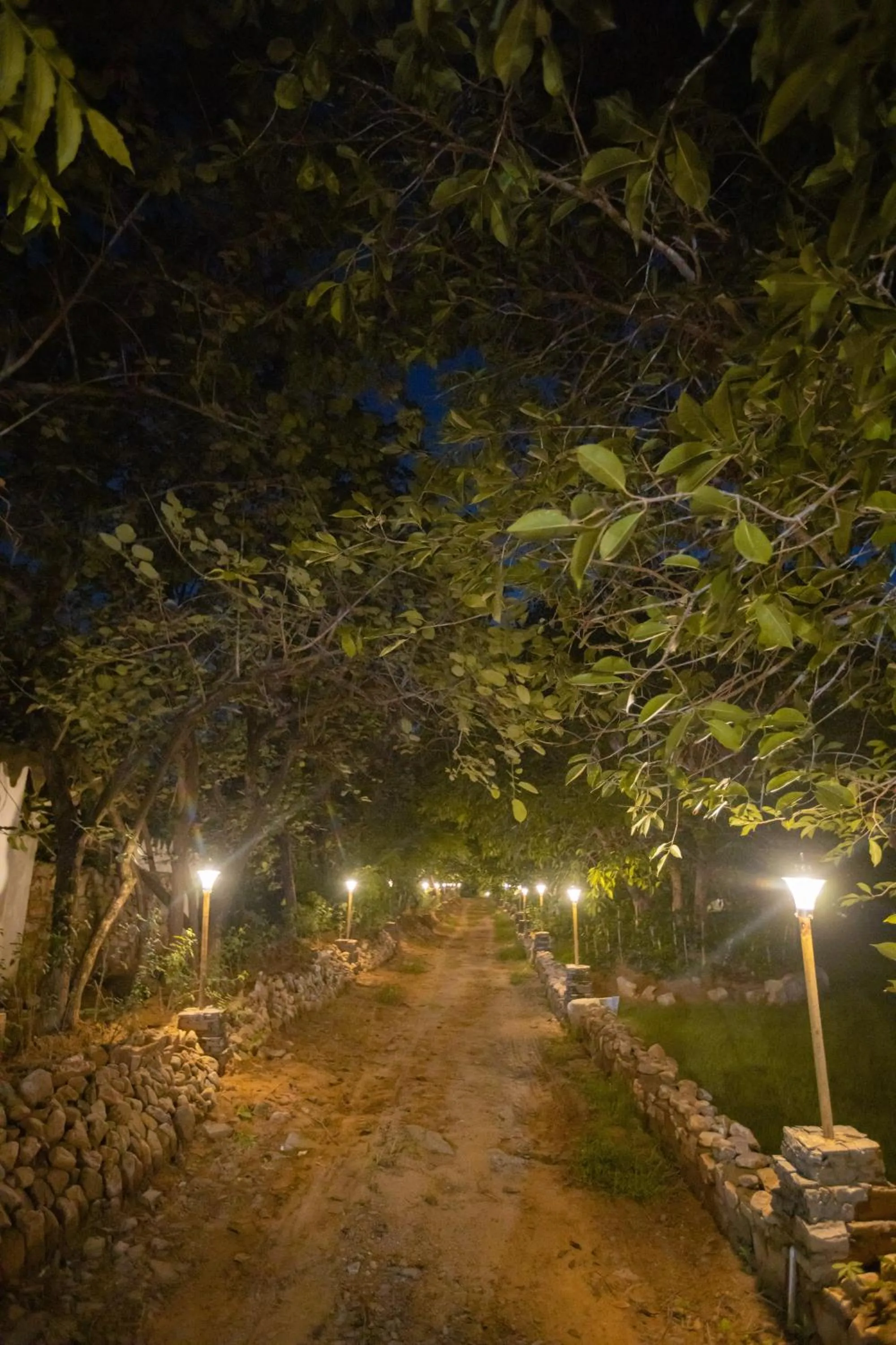 Night in Nature Village Resort