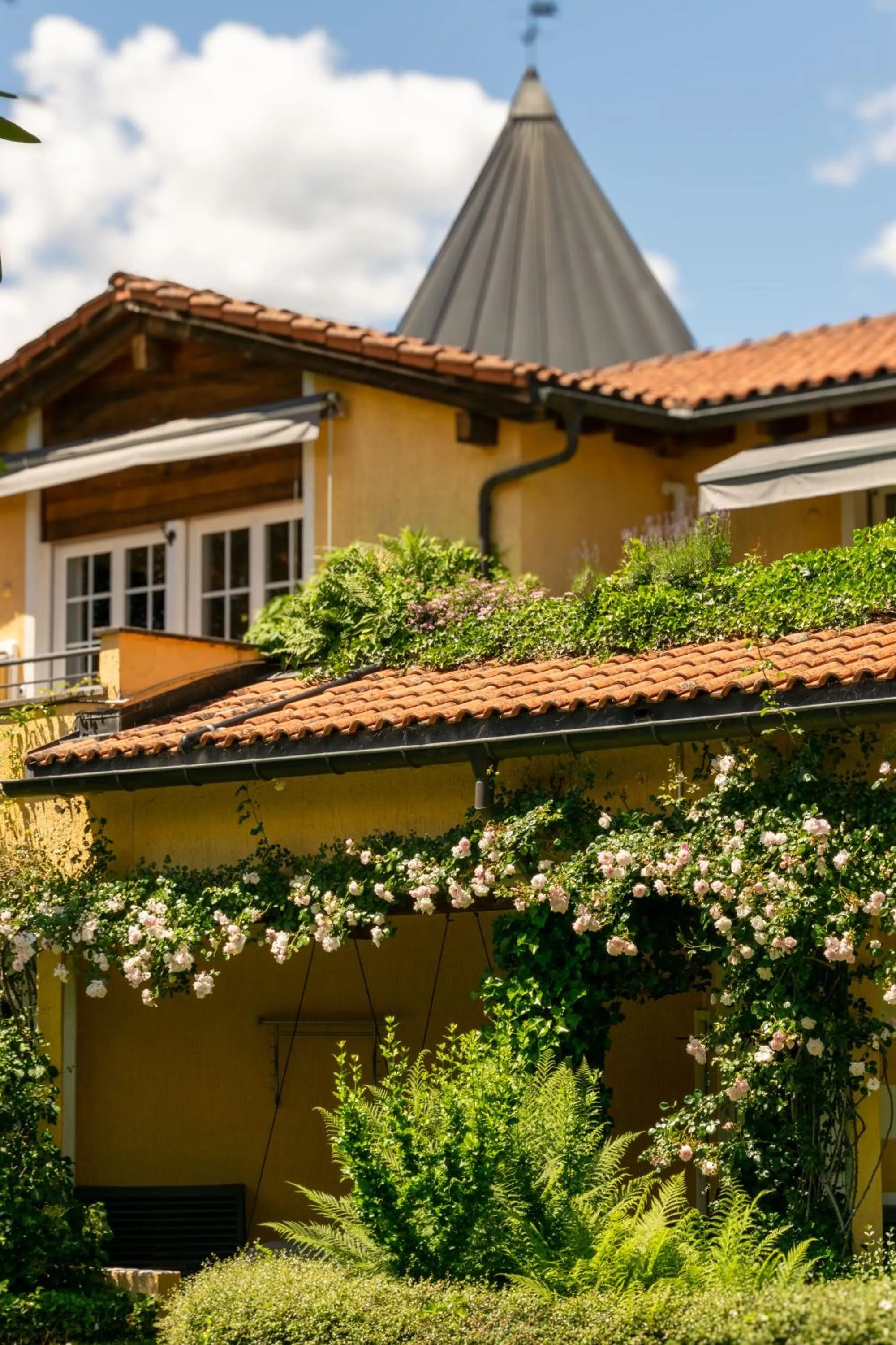 Garden in Albergo Losone
