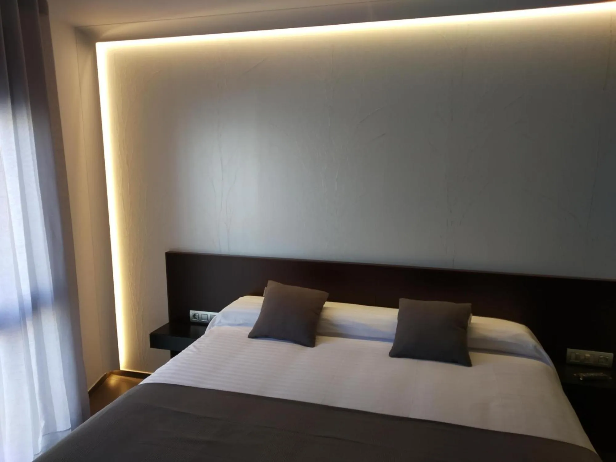 Bed in Hotel Olot Centre