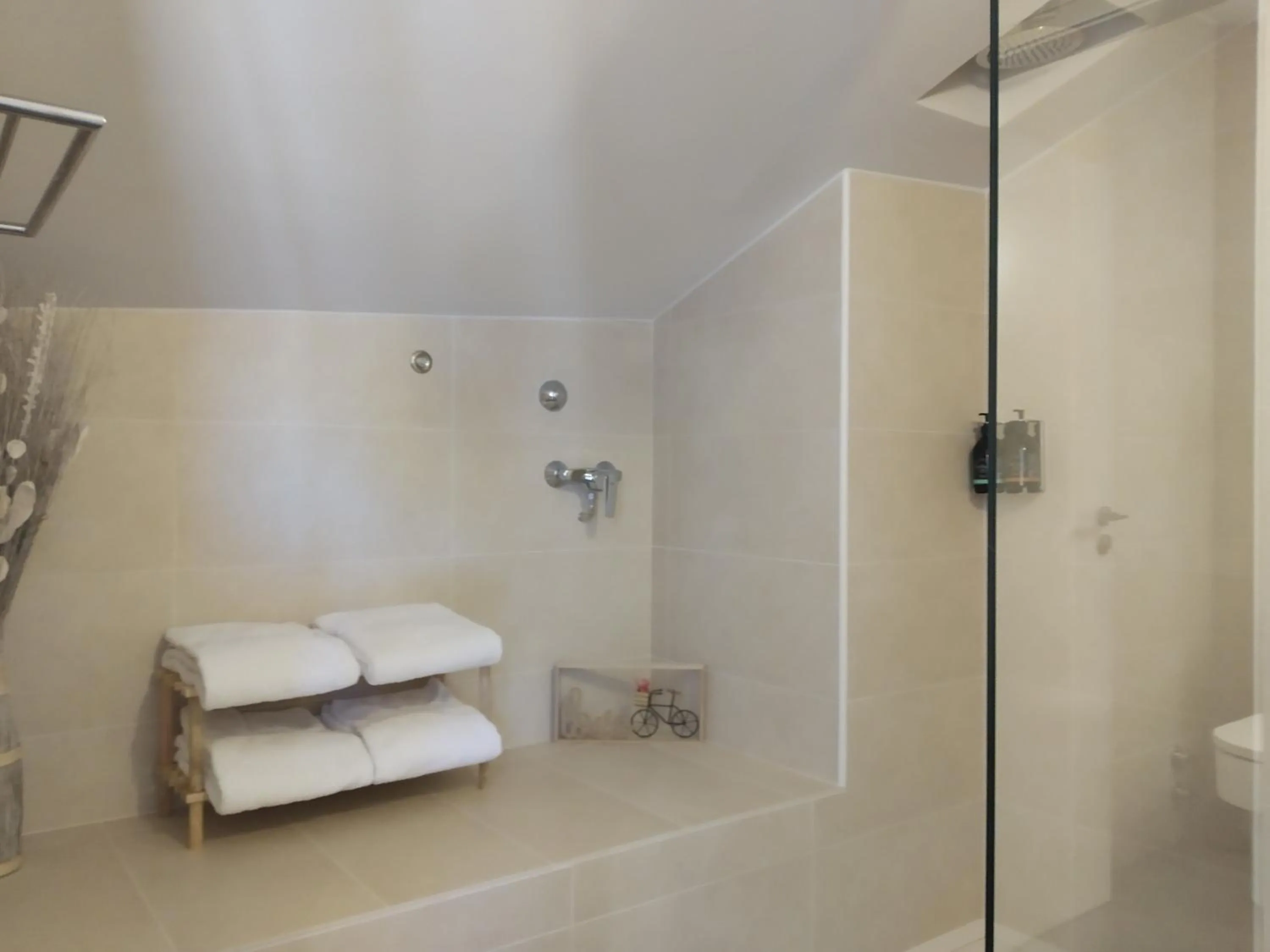 Shower in Hotel Olot Centre