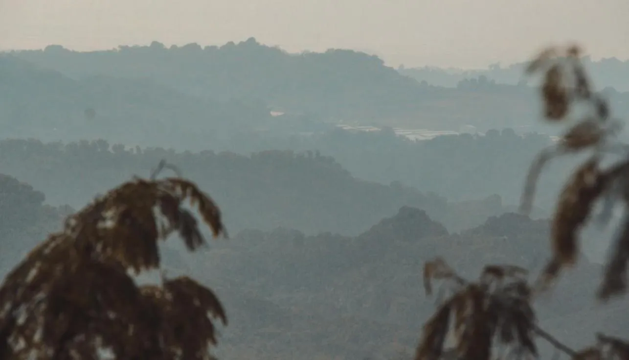 Raw Camping at Camping Paradise Singalong Mountain Garden