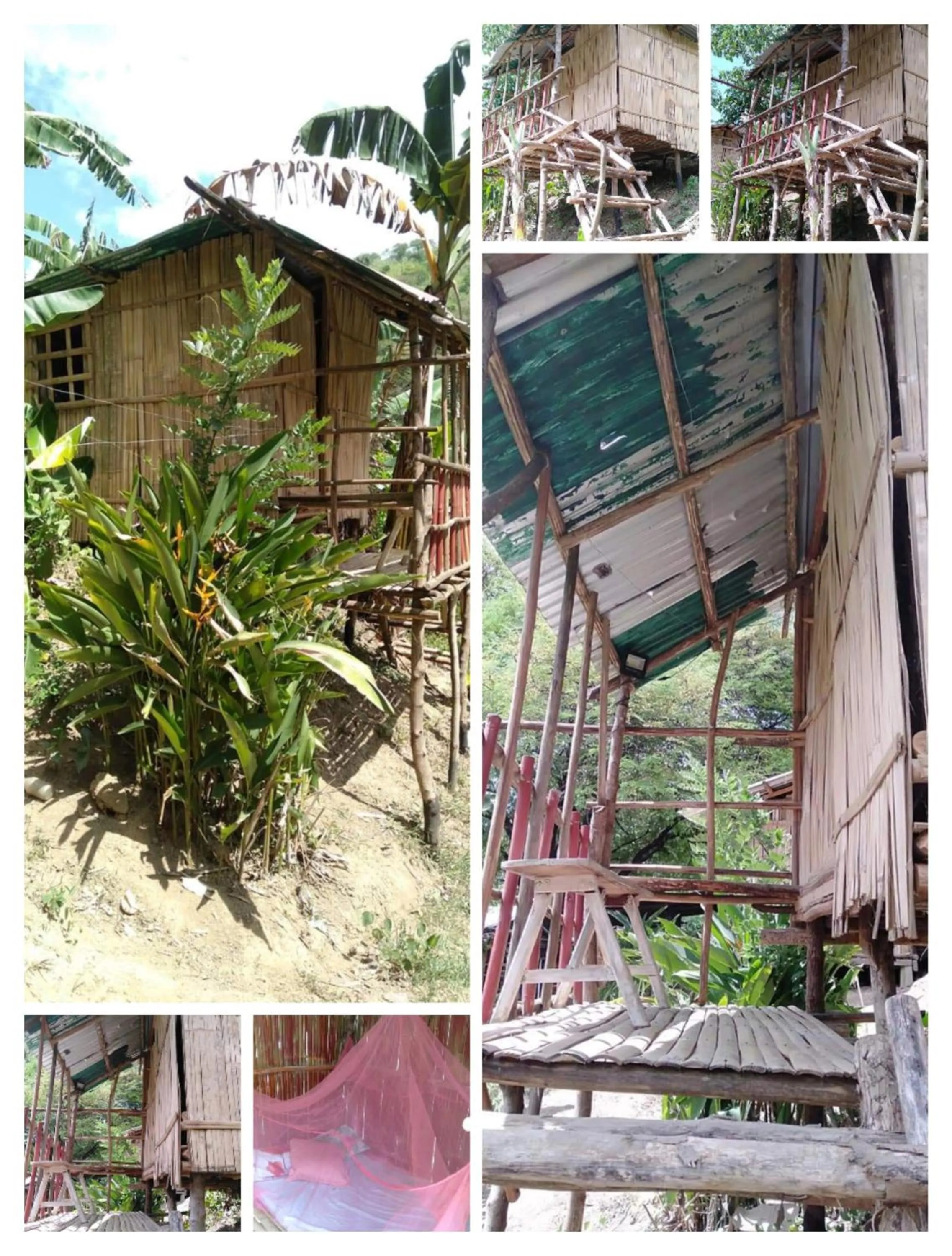 Raw Camping at Camping Paradise Singalong Mountain Garden