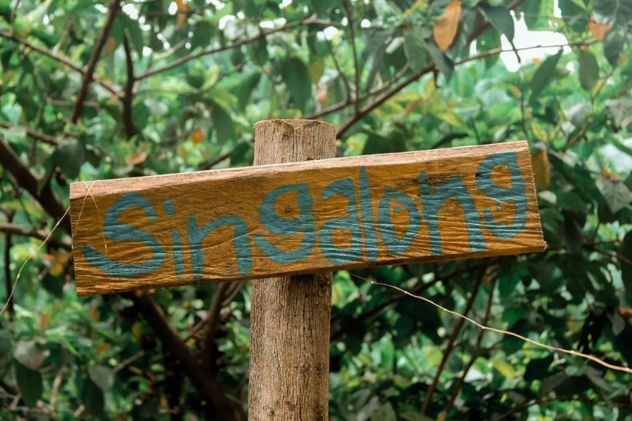 Raw Camping at Camping Paradise Singalong Mountain Garden