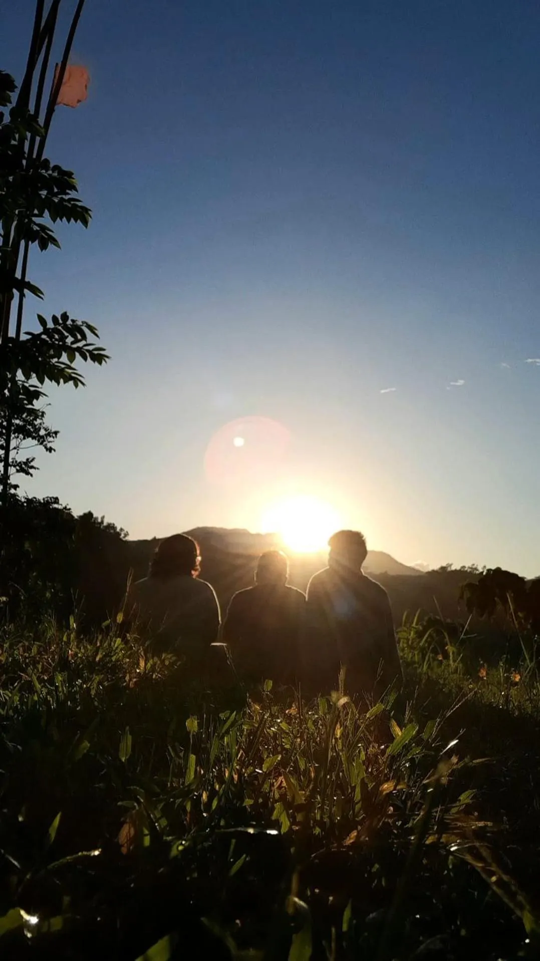 Raw Camping at Camping Paradise Singalong Mountain Garden