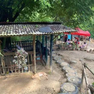 Raw Camping at Camping Paradise Singalong Mountain Garden