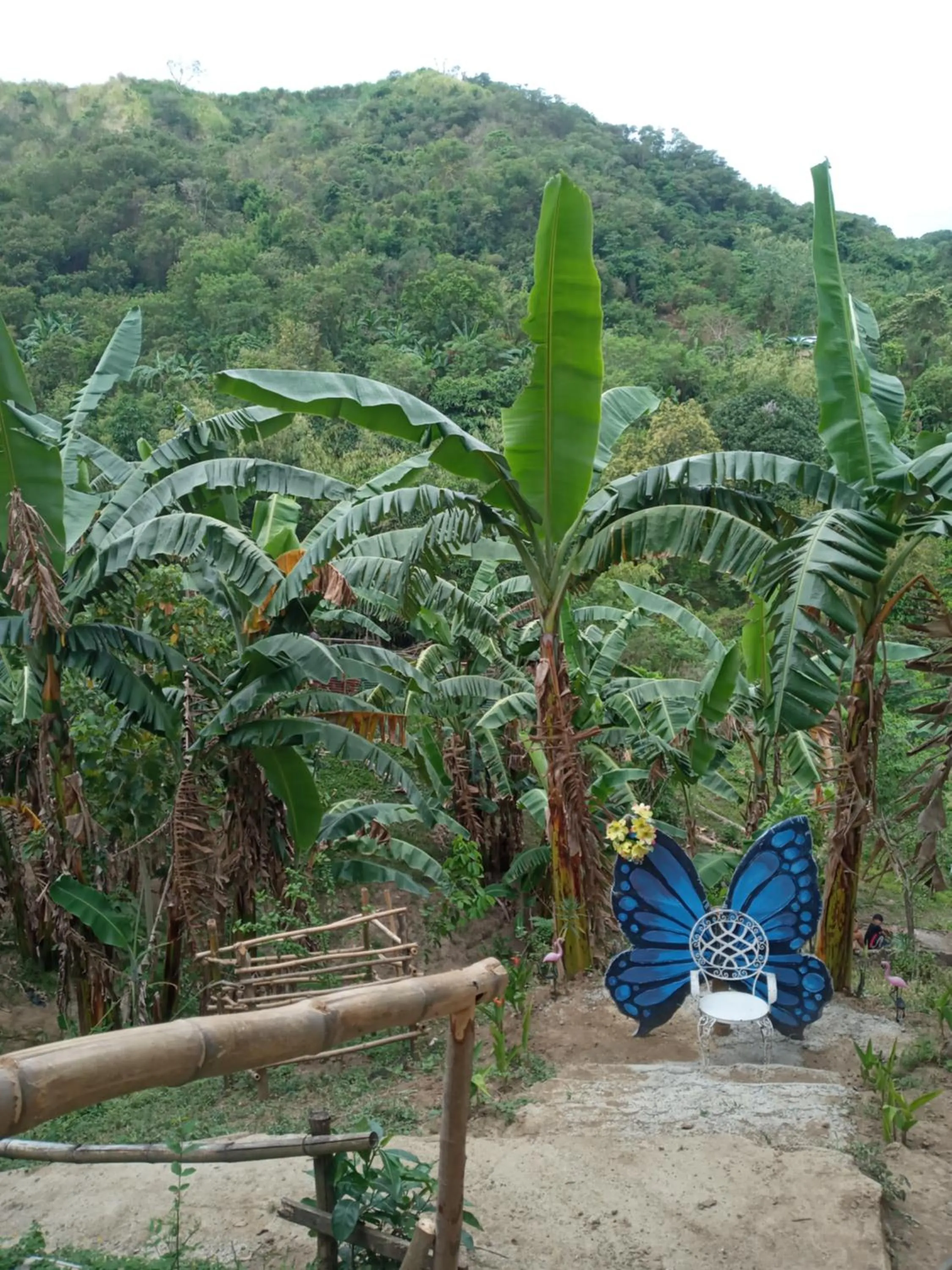 Raw Camping at Camping Paradise Singalong Mountain Garden