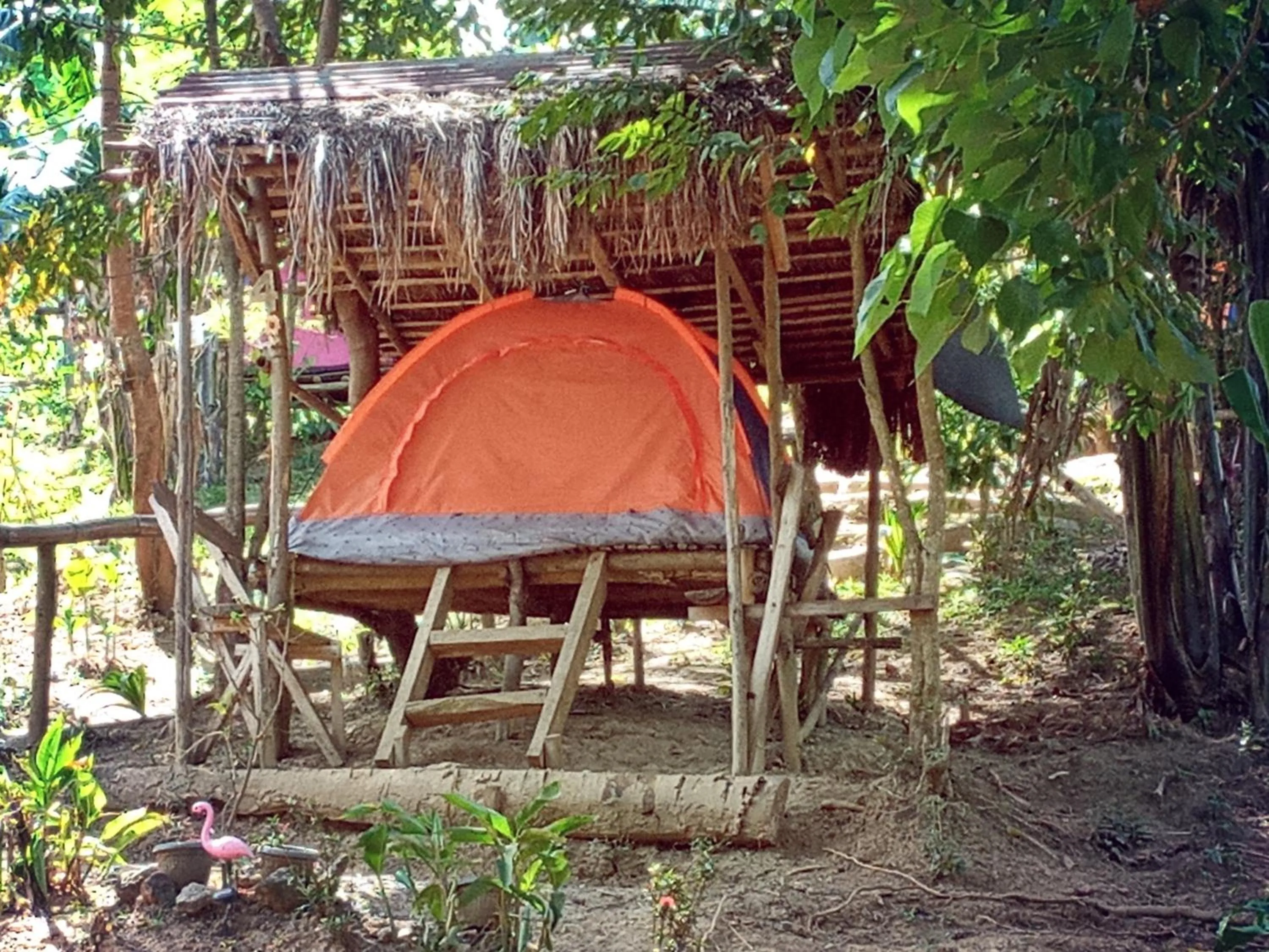 Raw Camping at Camping Paradise Singalong Mountain Garden