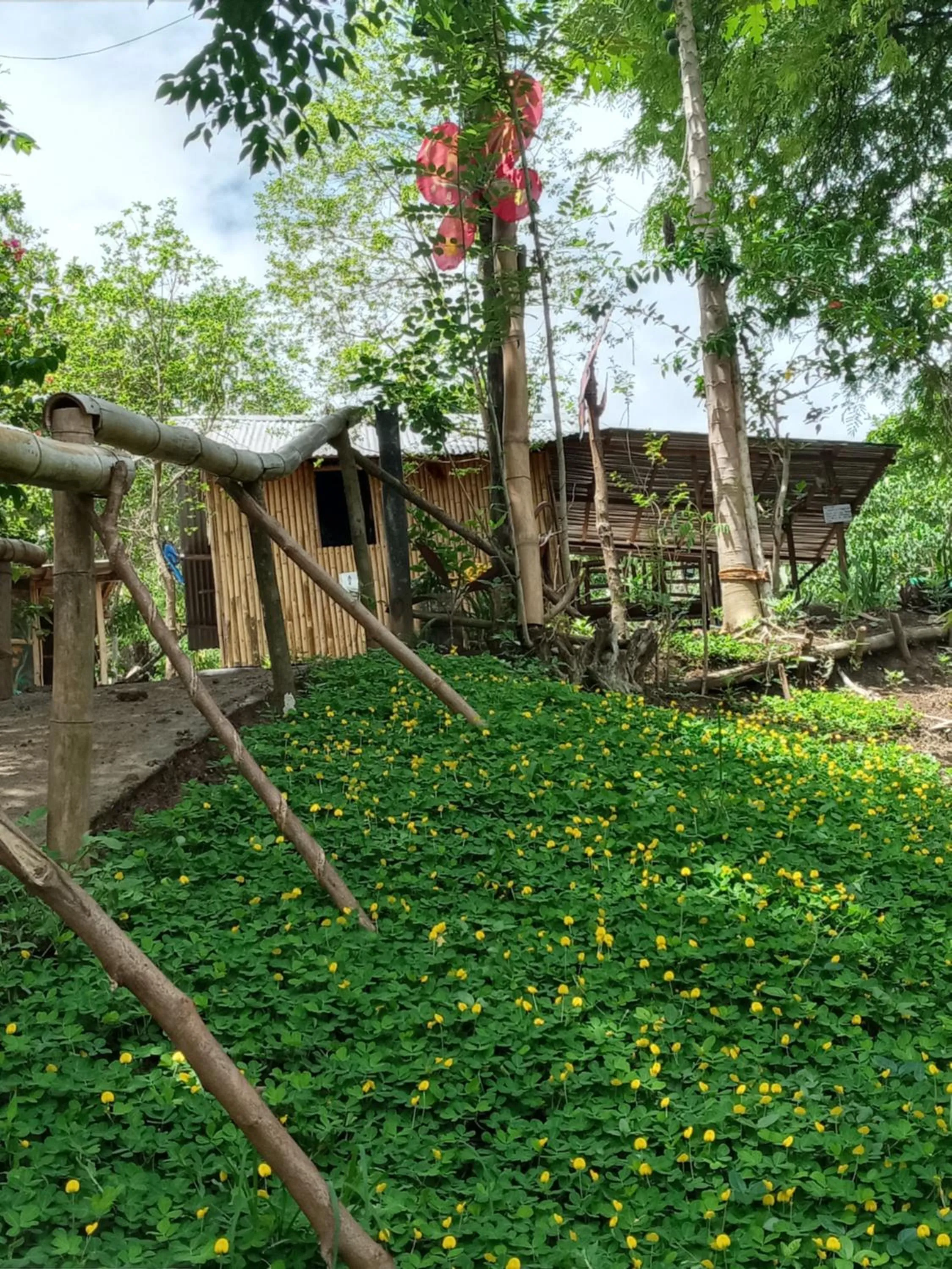 Raw Camping at Camping Paradise Singalong Mountain Garden