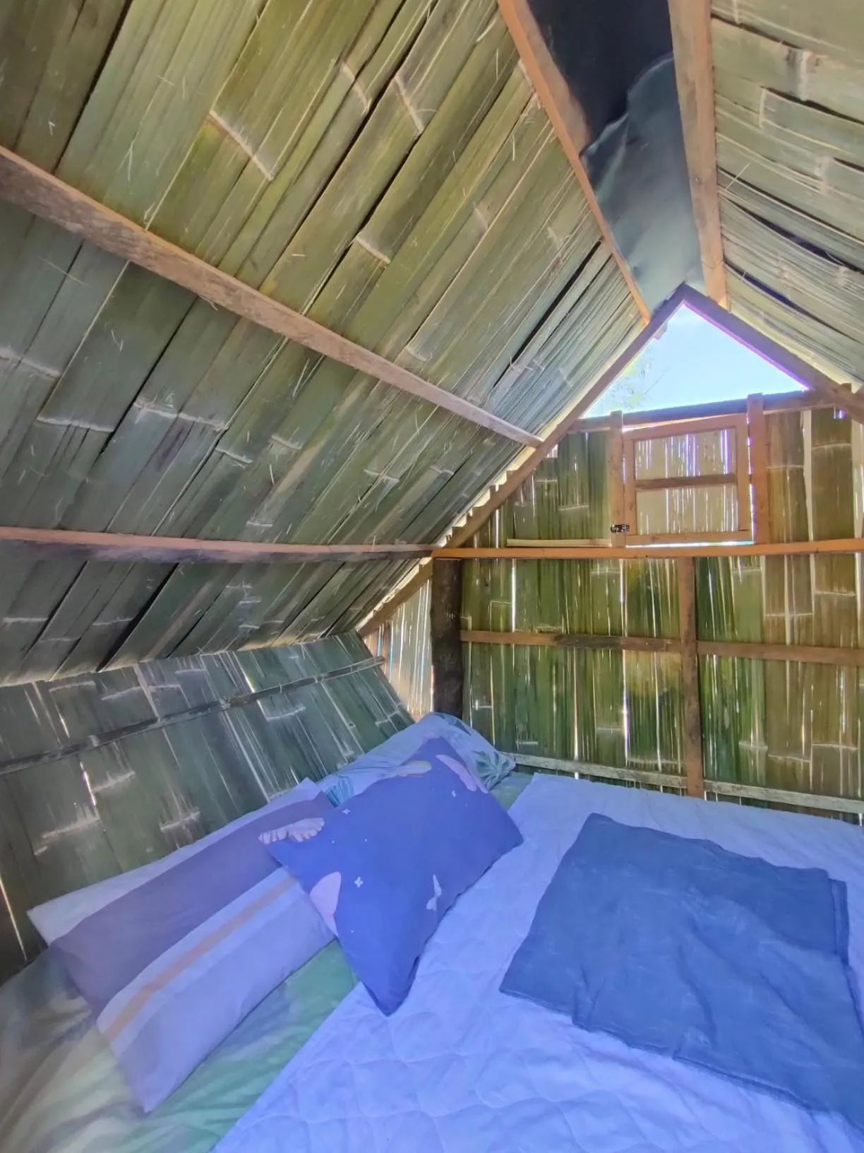 Raw Camping at Camping Paradise Singalong Mountain Garden