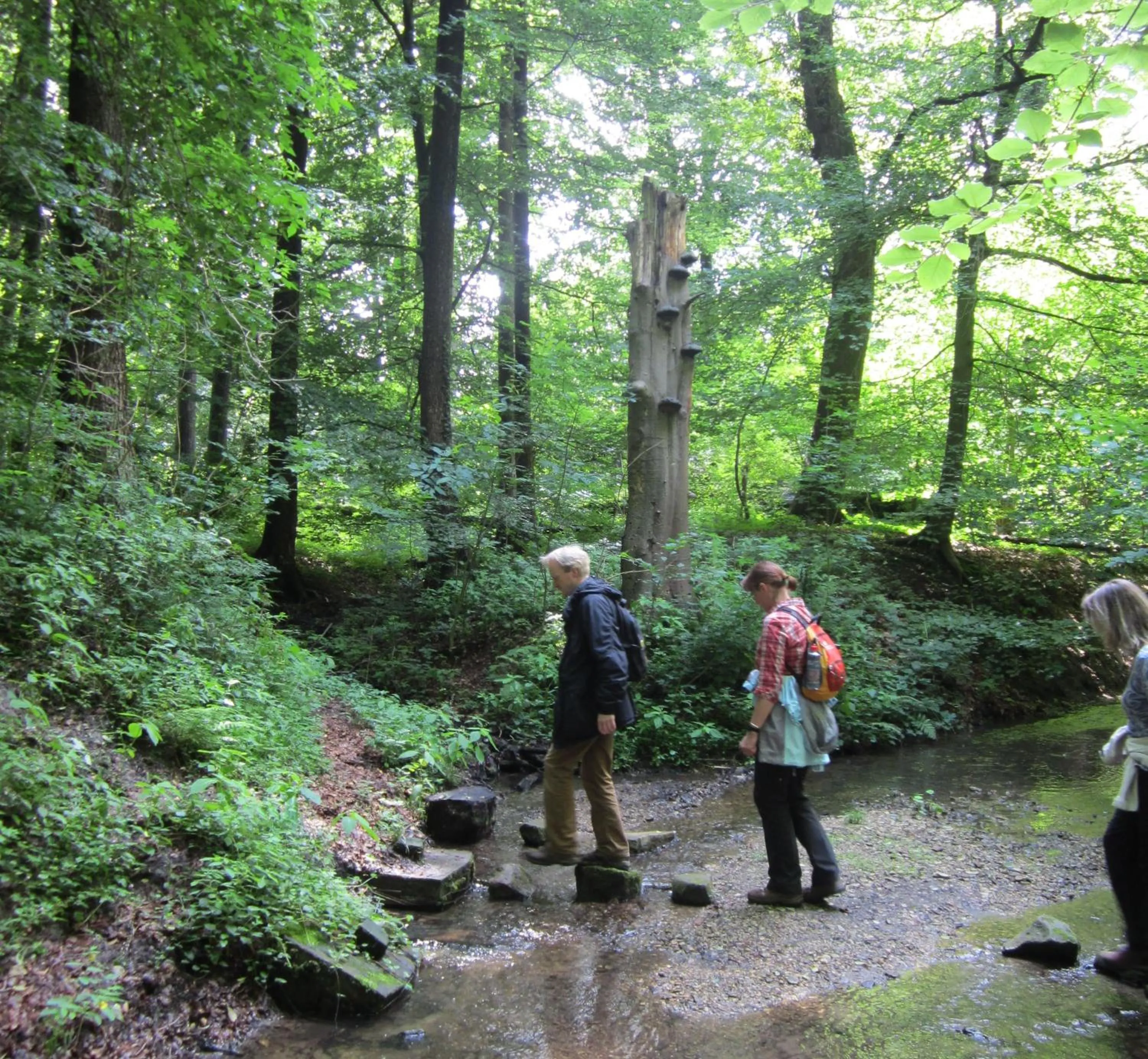 Hiking in Havergoh Wander- & Fahrrad-Hotel