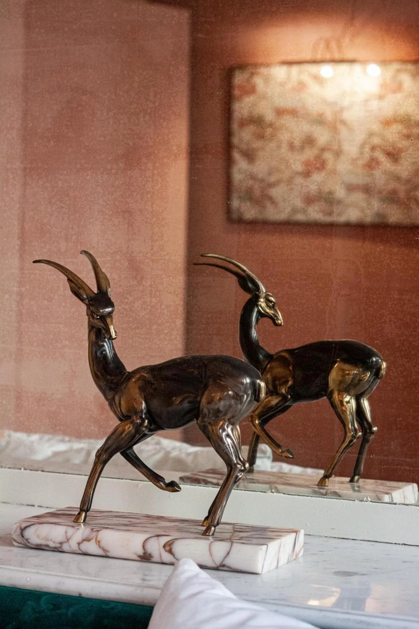 JARDIN D'HIVER CASSEL Suite de 70 m2