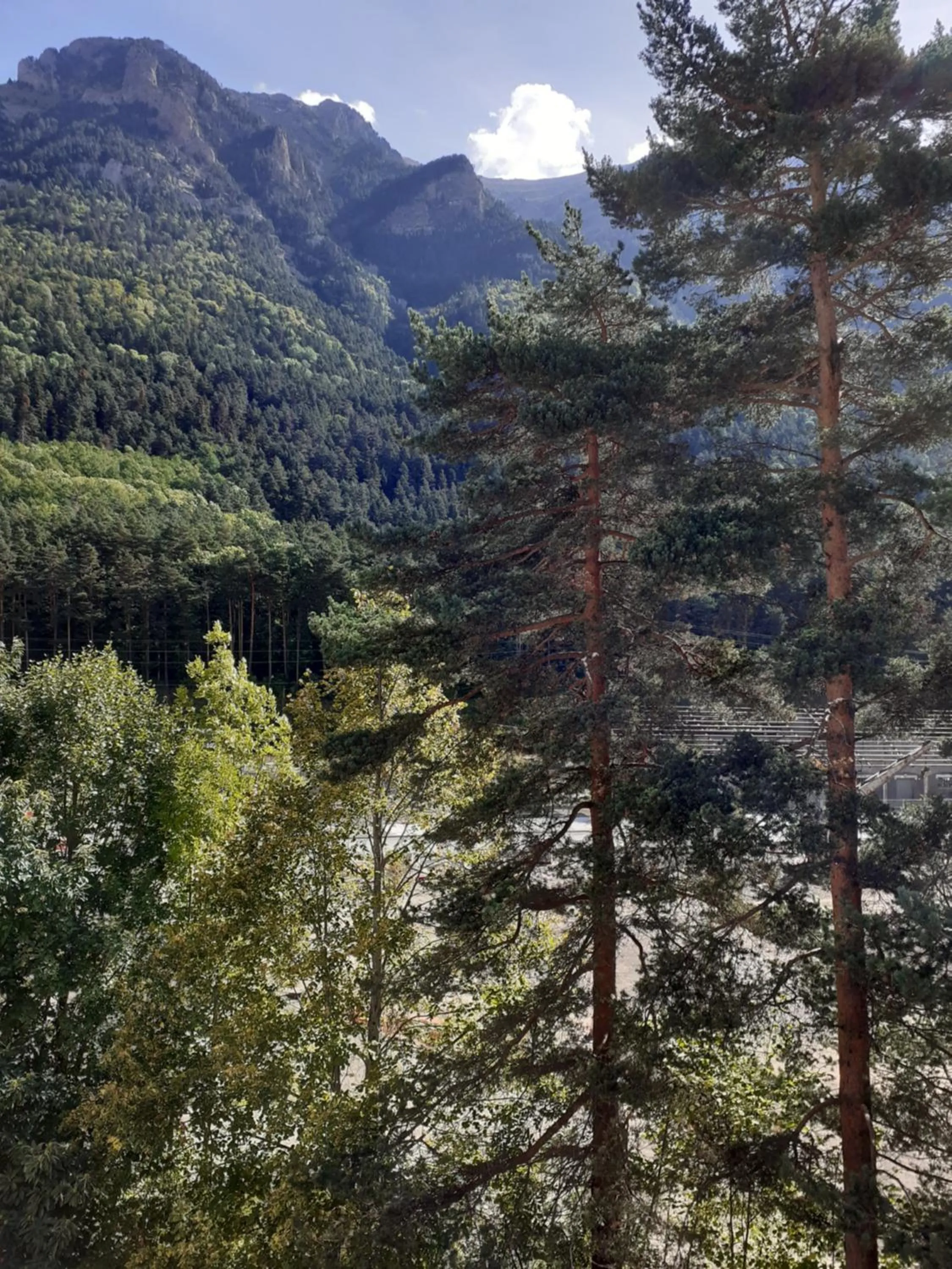 Hotel & Spa Real Villa Anayet