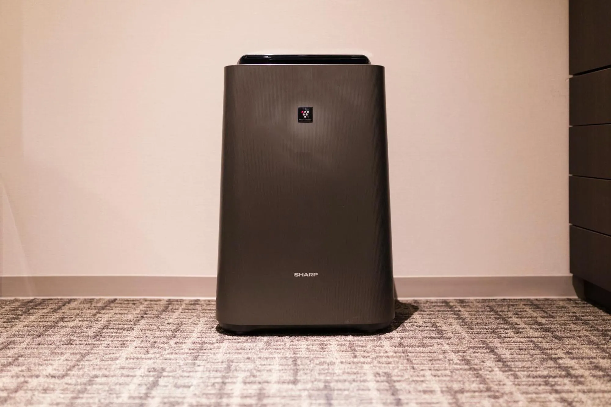 Photo of the whole room in HOTEL ASYL TOKYO KAMATA