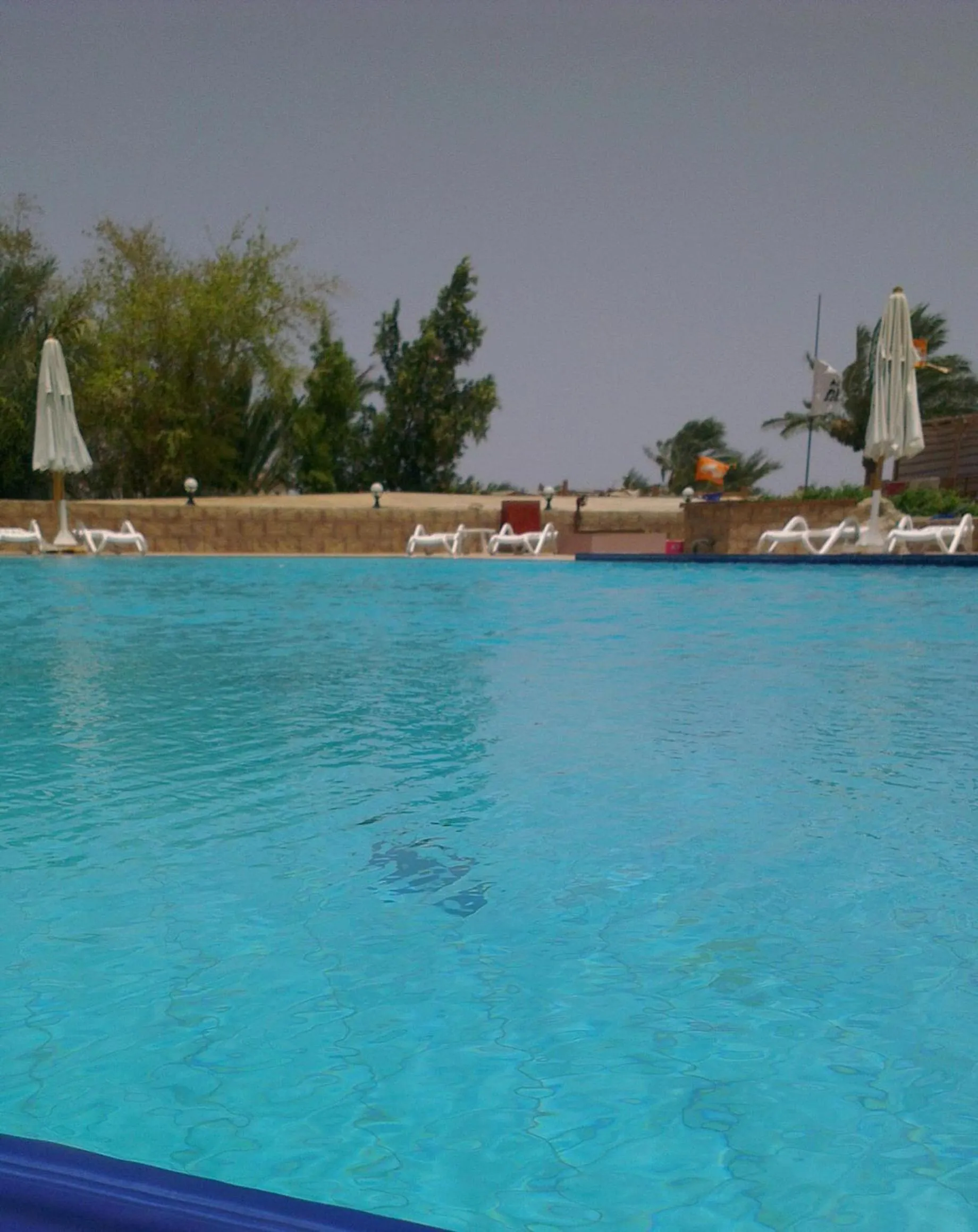 Swimming pool in Panda resort
