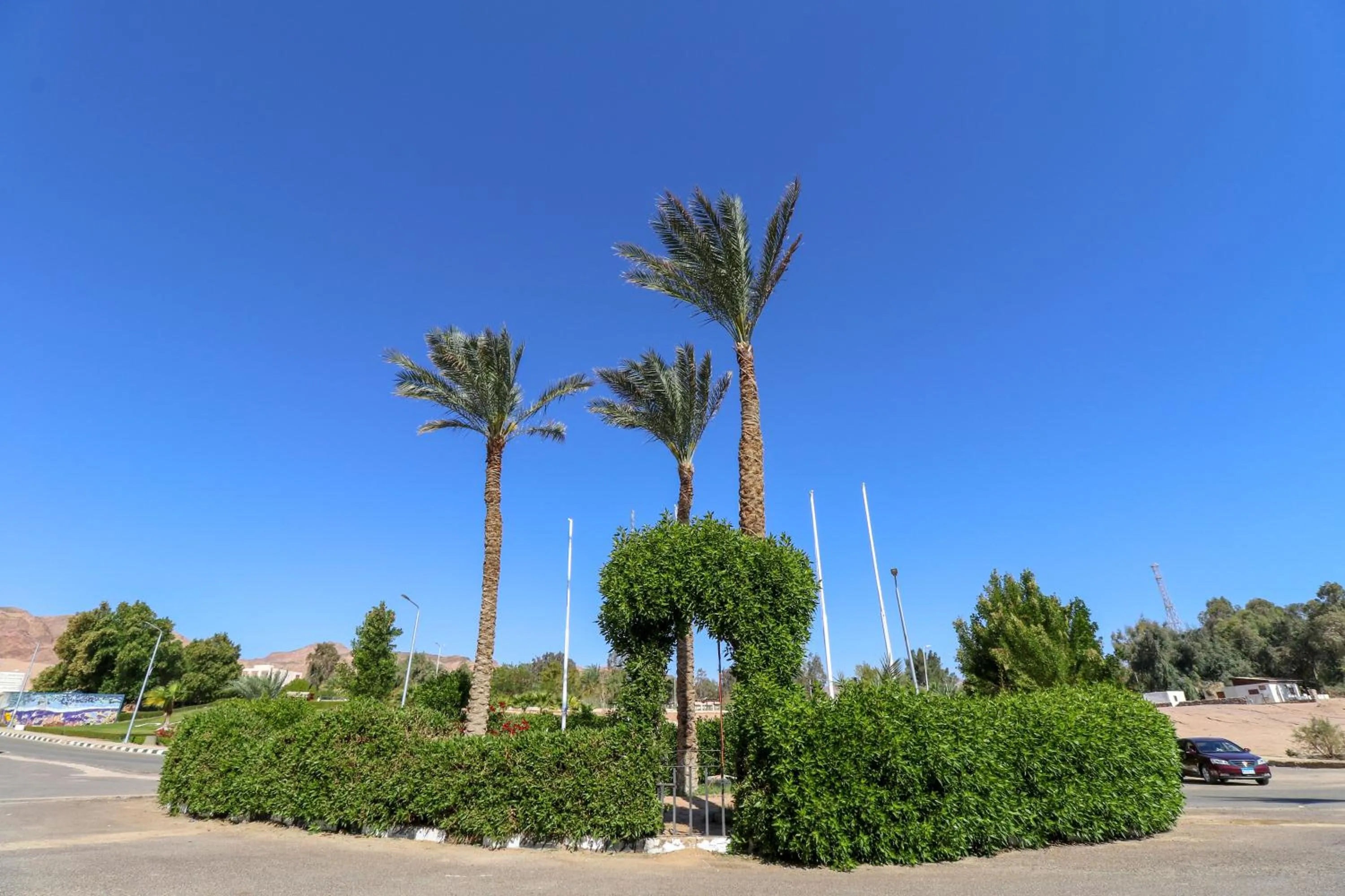 Garden in Panda resort