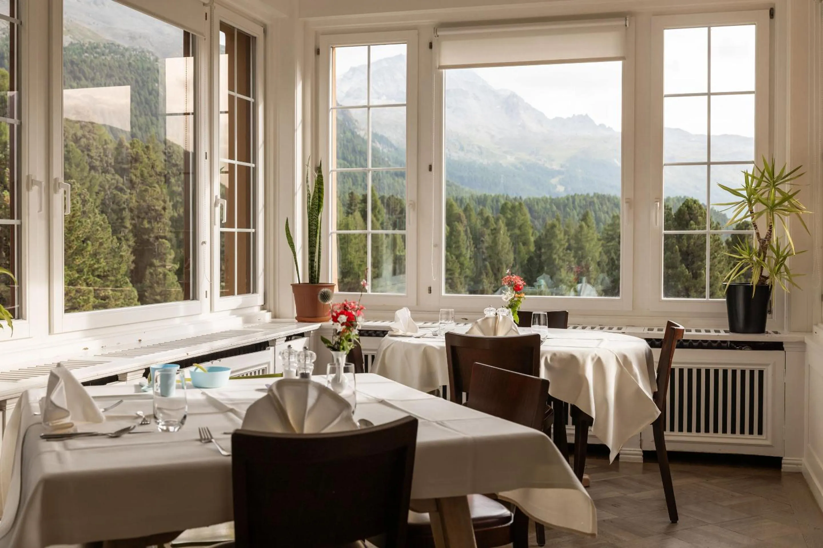 Restaurant/places to eat in Hotel Chesa Spuondas