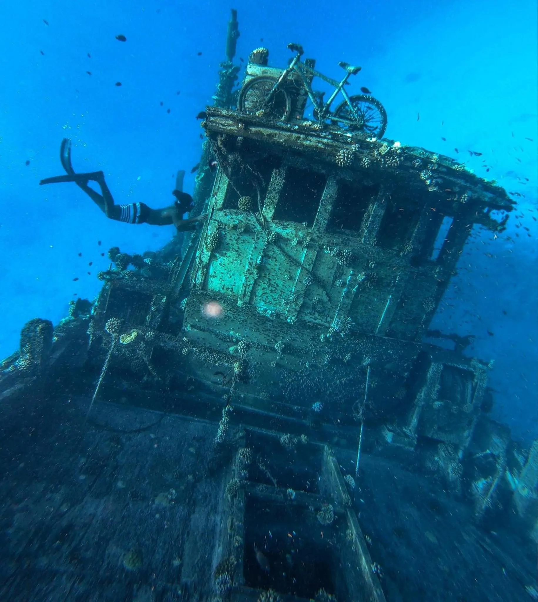 Diving in Wow Inn Keyodhoo