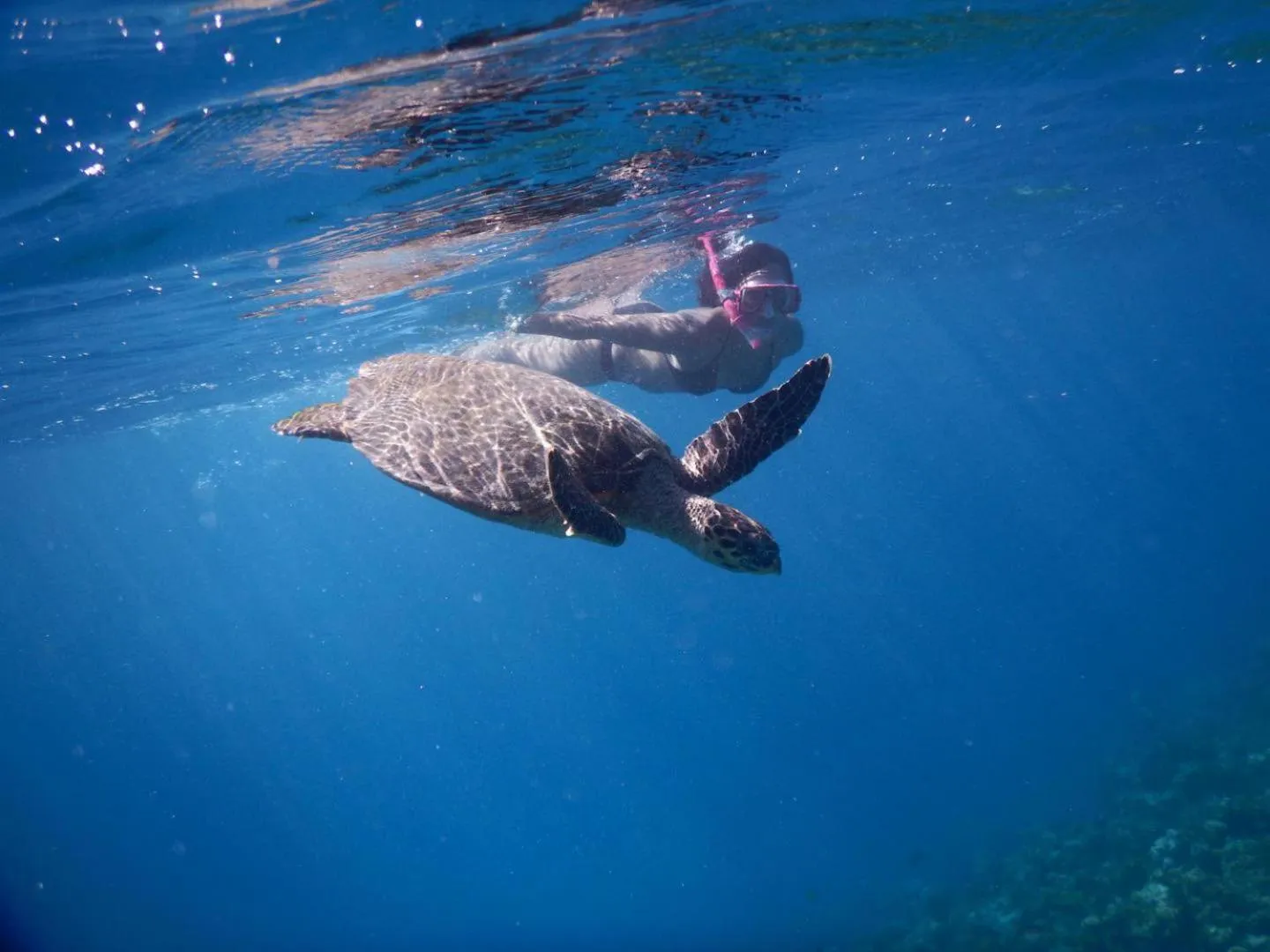 Snorkeling in Wow Inn Keyodhoo