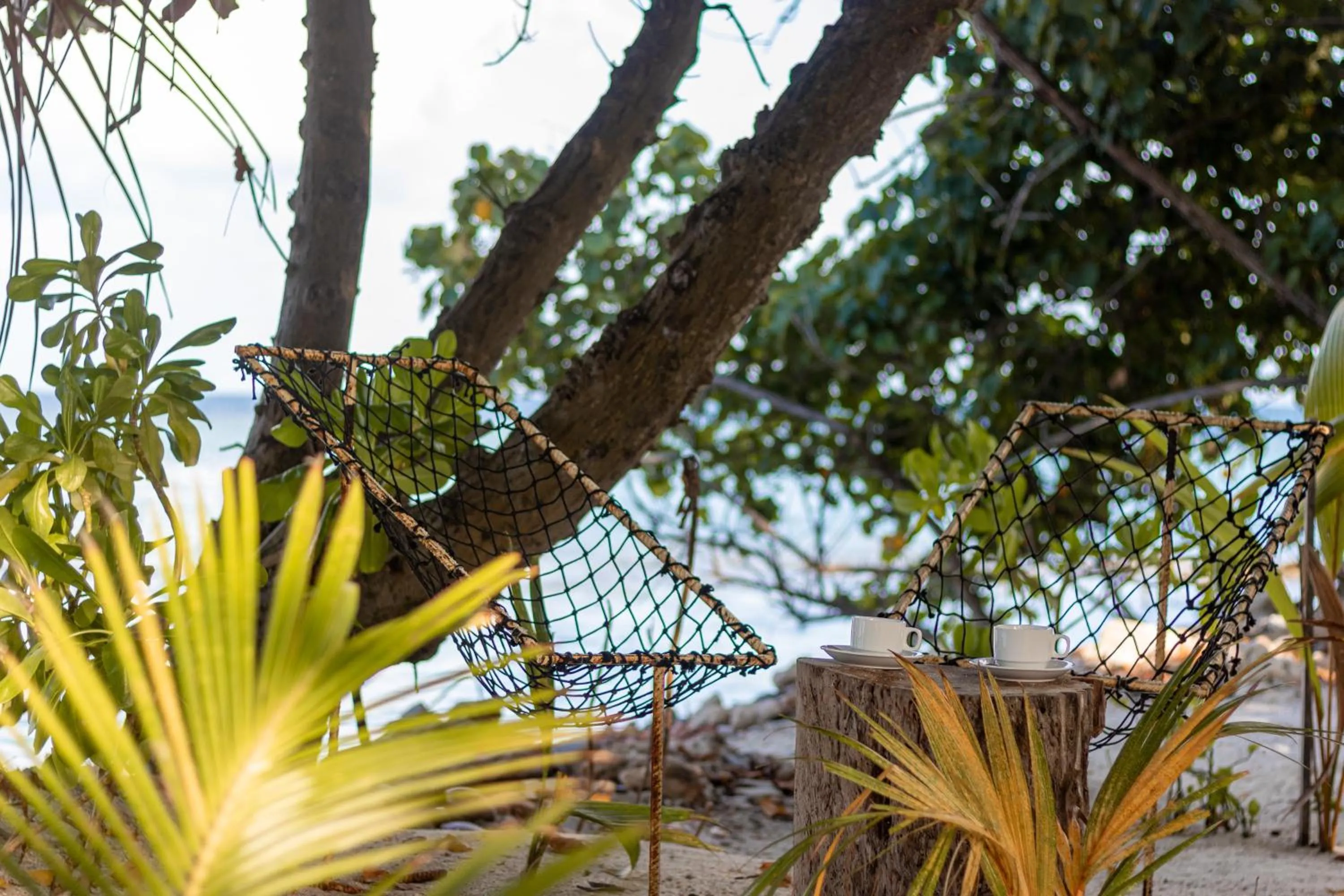Garden in Wow Inn Keyodhoo