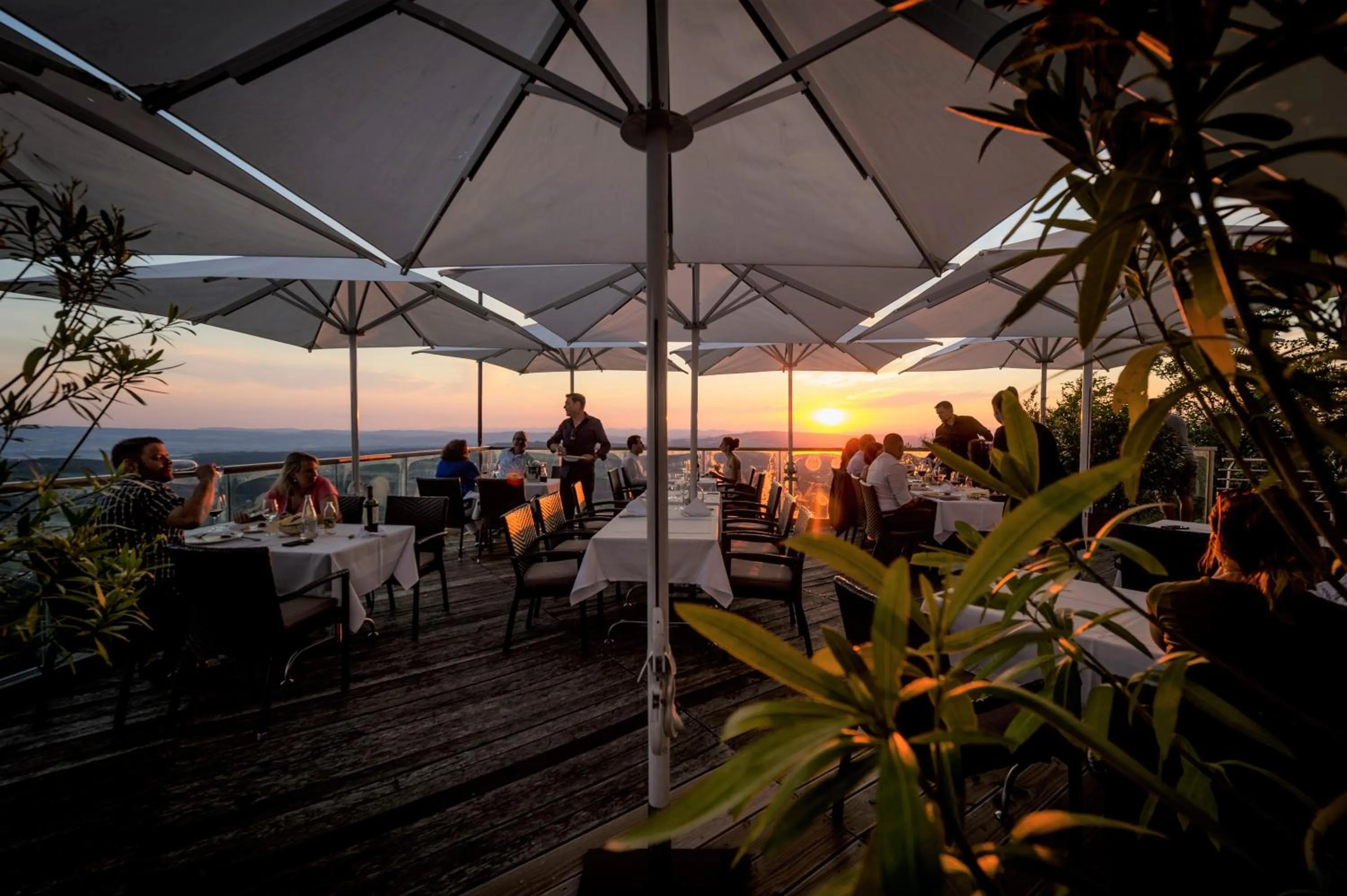 Restaurant/places to eat in Hotel UTO KULM car-free hideaway in Zurich