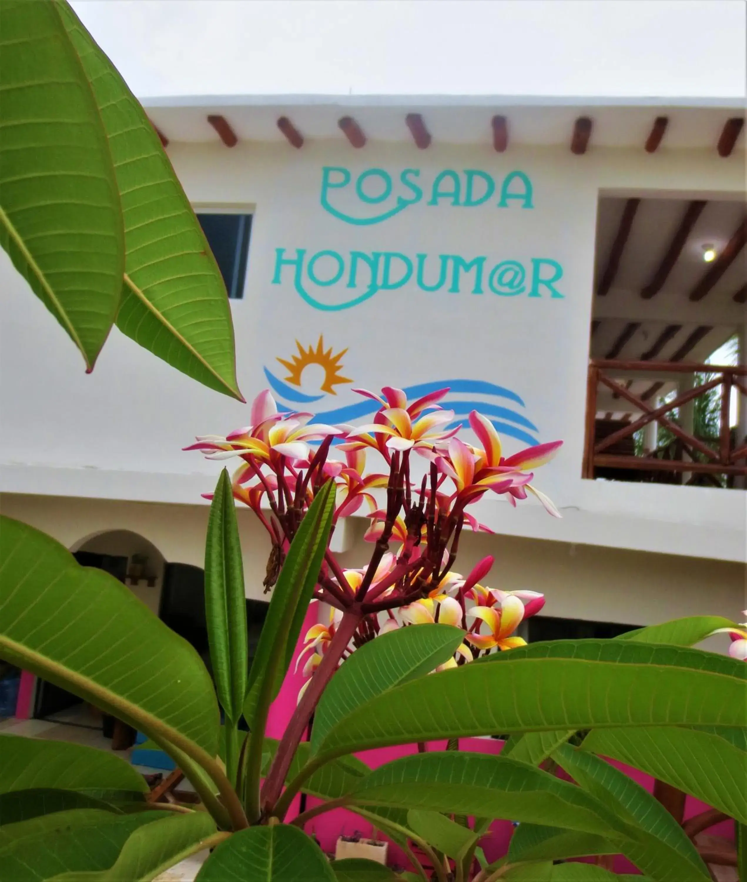 Posada Hondumar Holbox Posada Hondumar Holbox