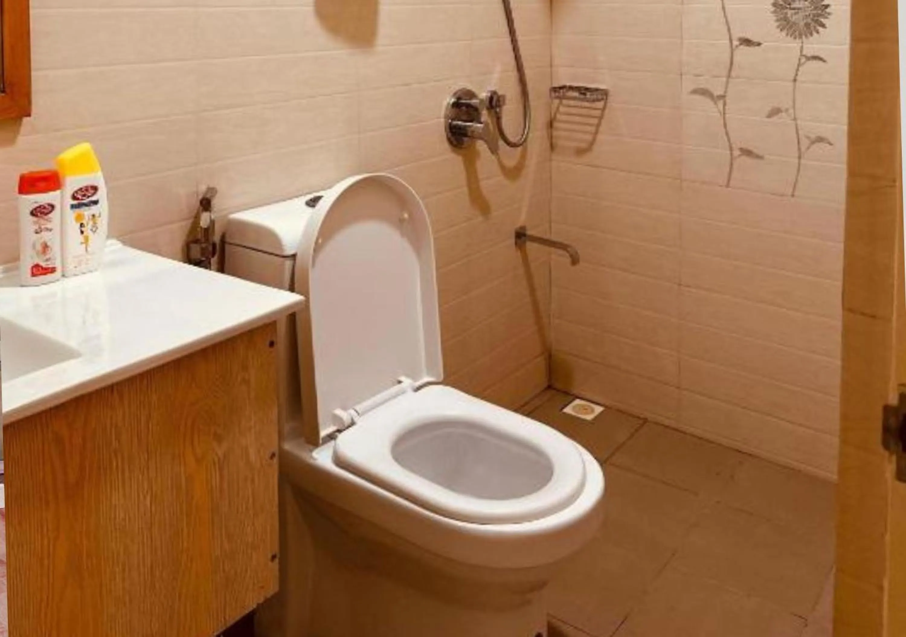 Toilet in Odi Kamadhoo