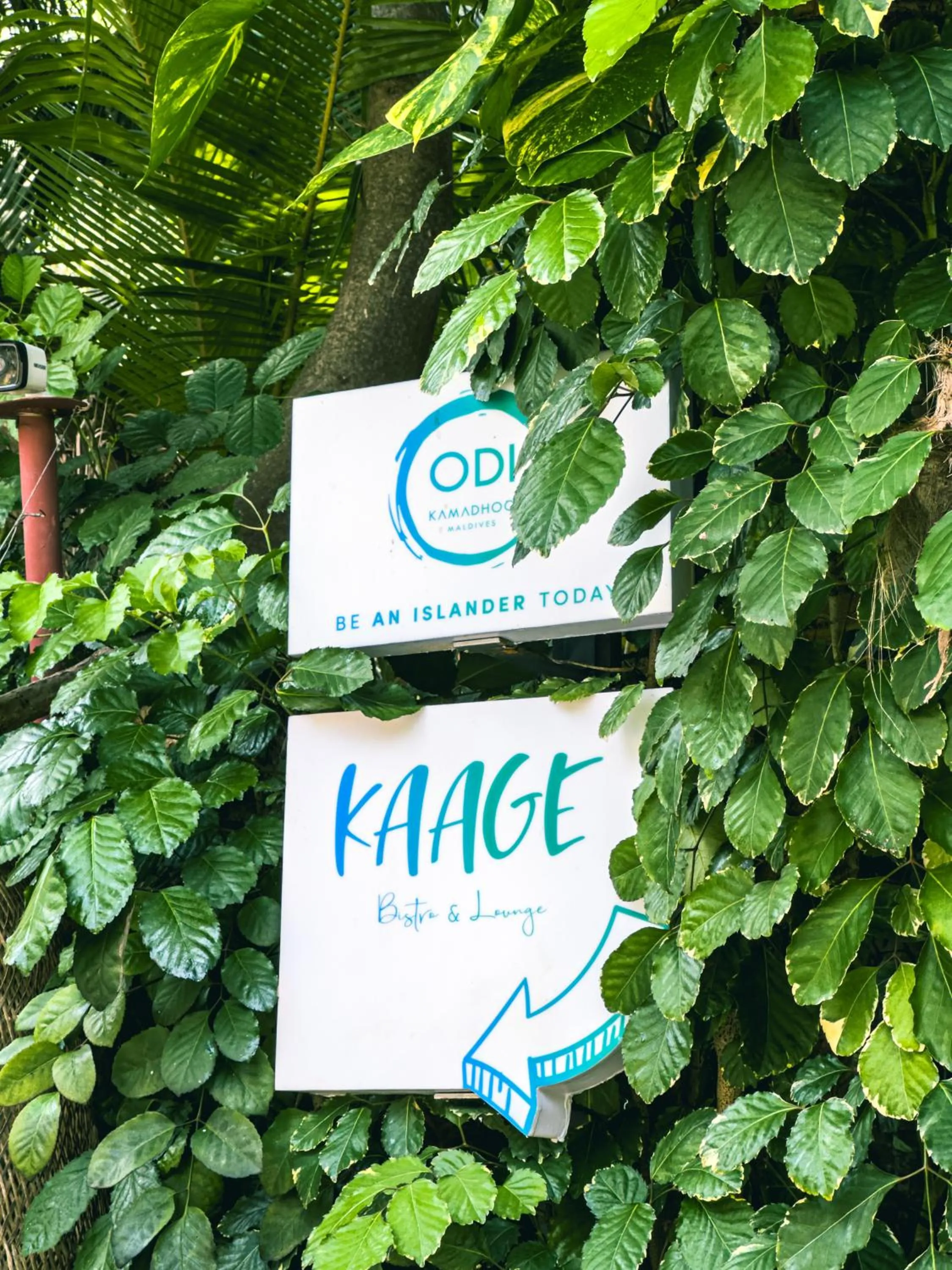 Street view in Odi Kamadhoo