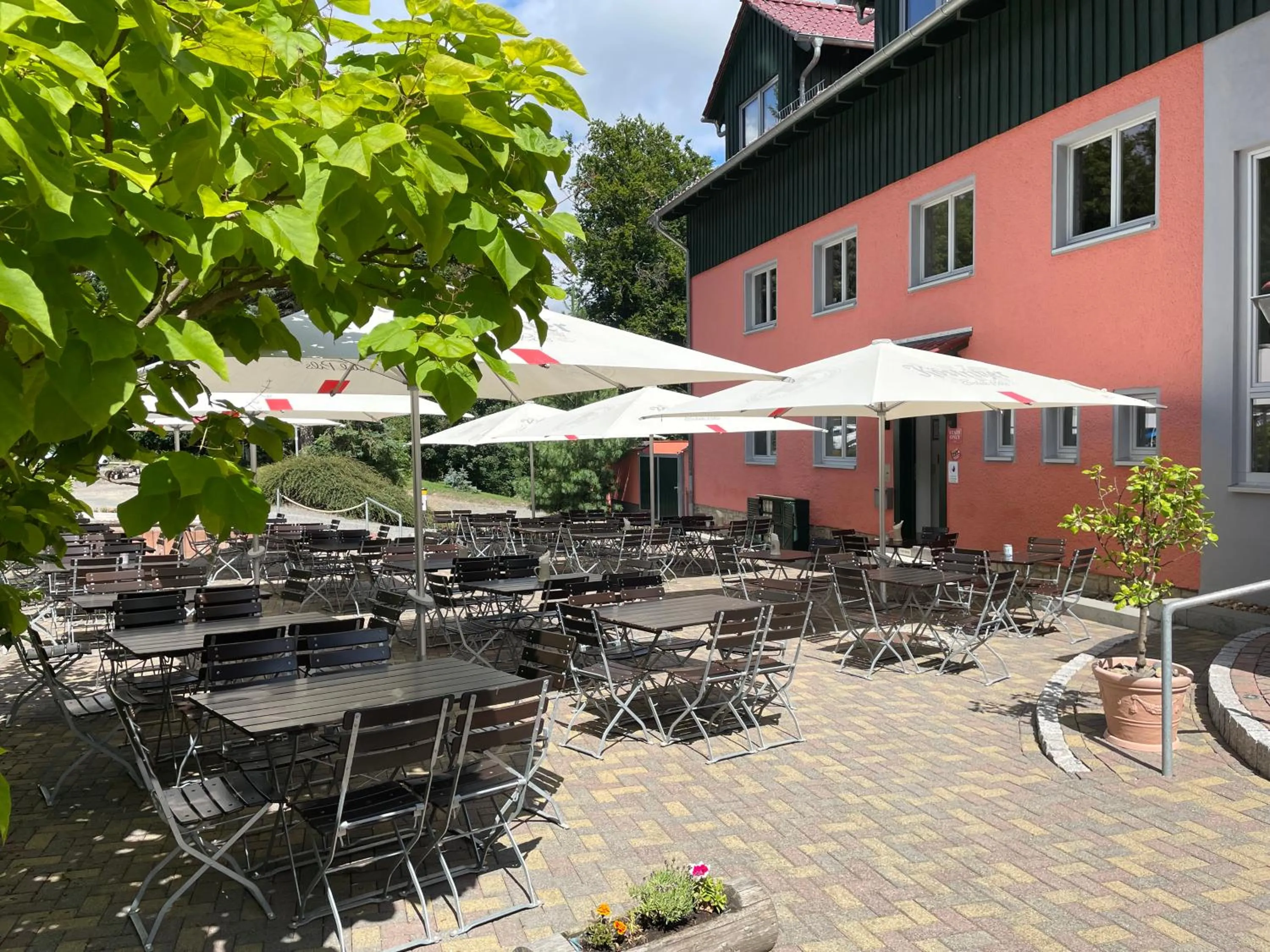 Restaurant/places to eat in Akzent Berghotel Rosstrappe