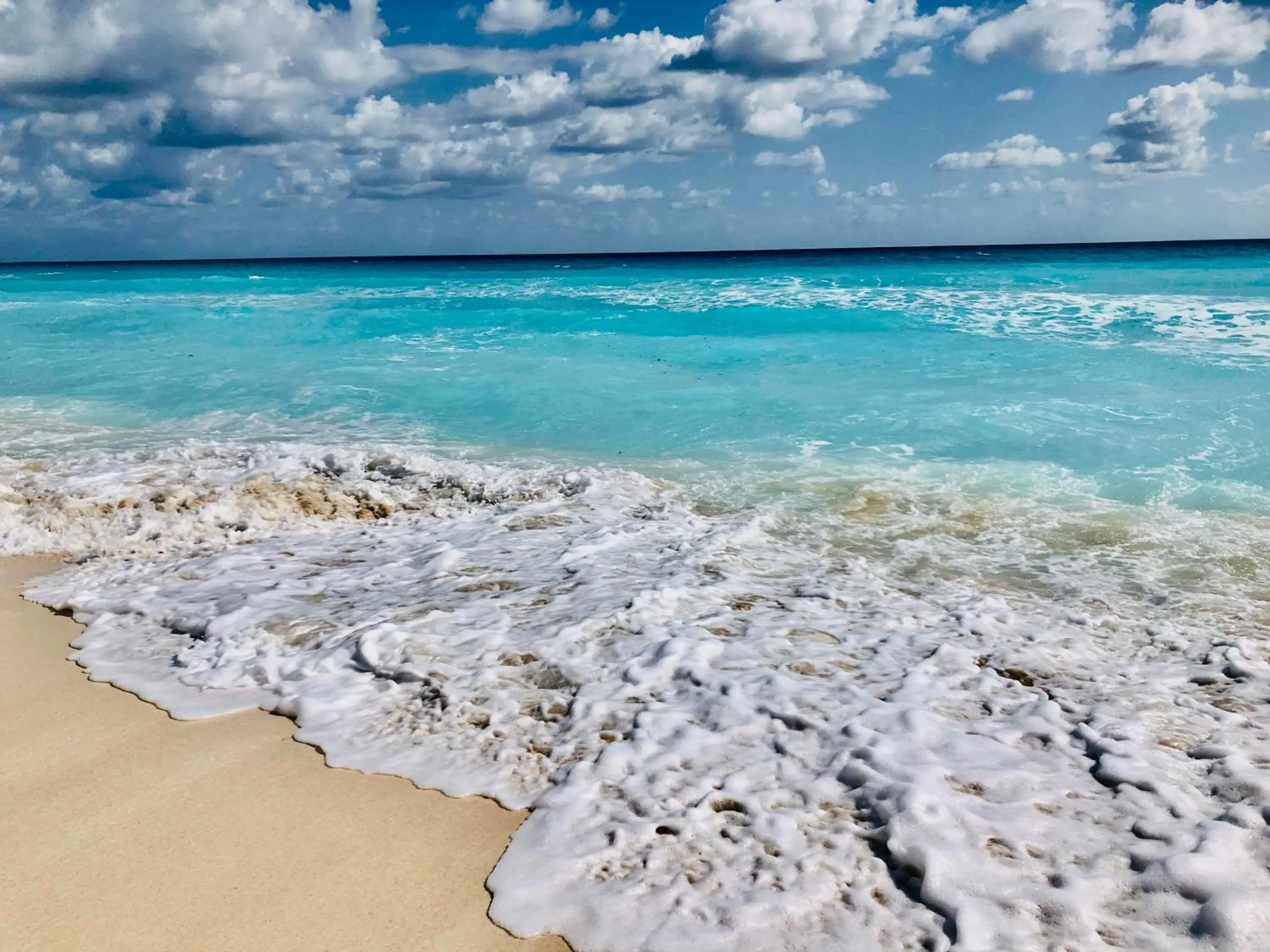 Natural landscape in Solymar Beach Condos