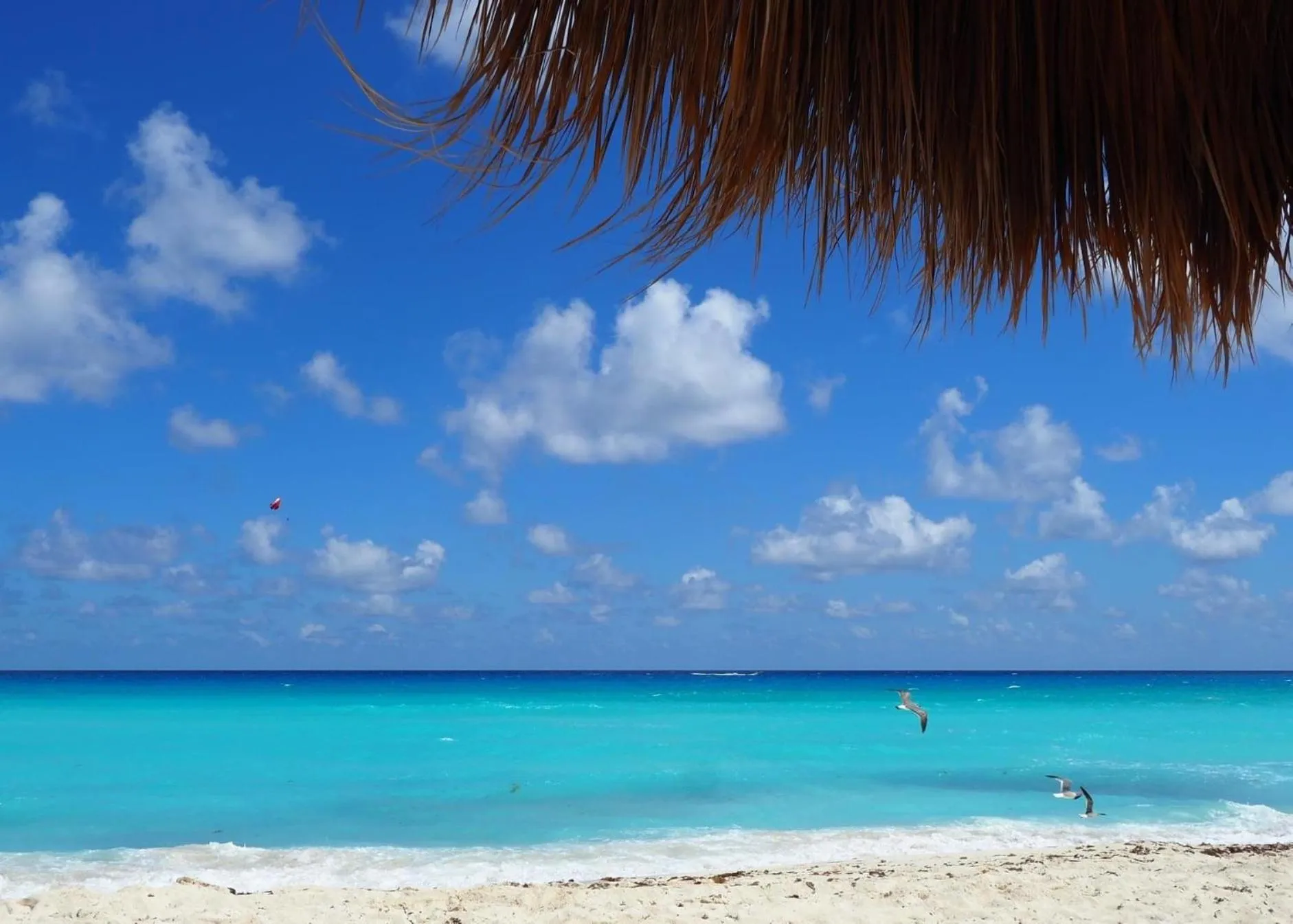 Natural landscape in Solymar Beach Condos