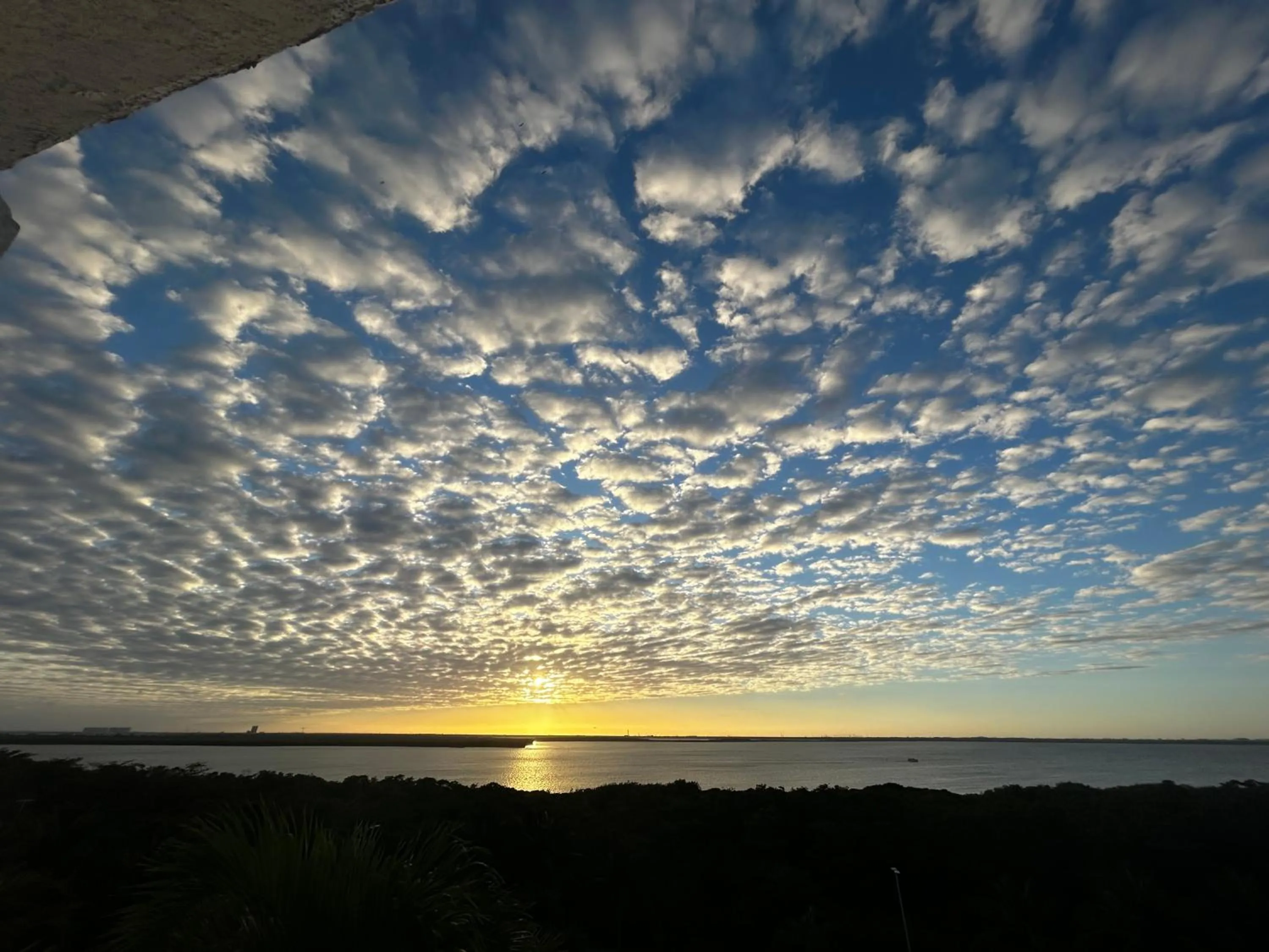 Natural landscape in Solymar Beach Condos