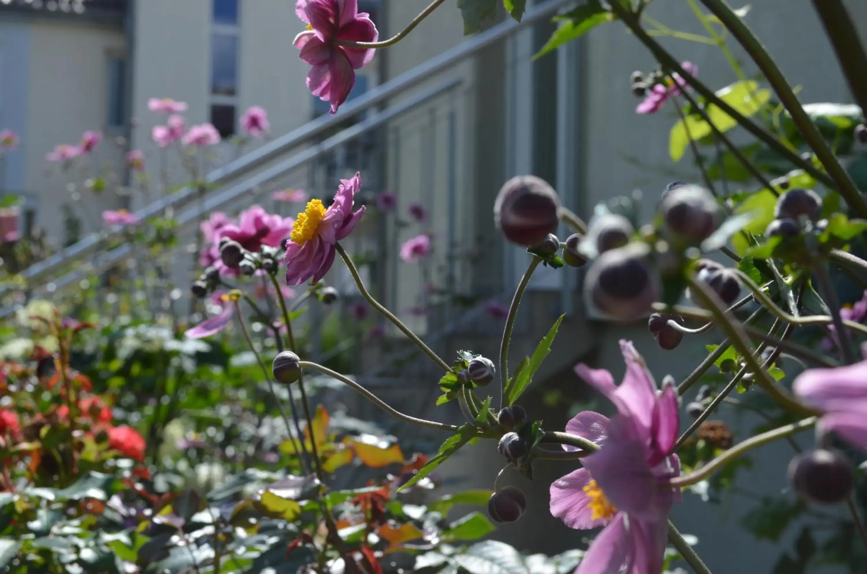 Deluxe Double Room in Hotel Ochsen Stuttgart Deluxe Double Room in Hotel Ochsen Stuttgart