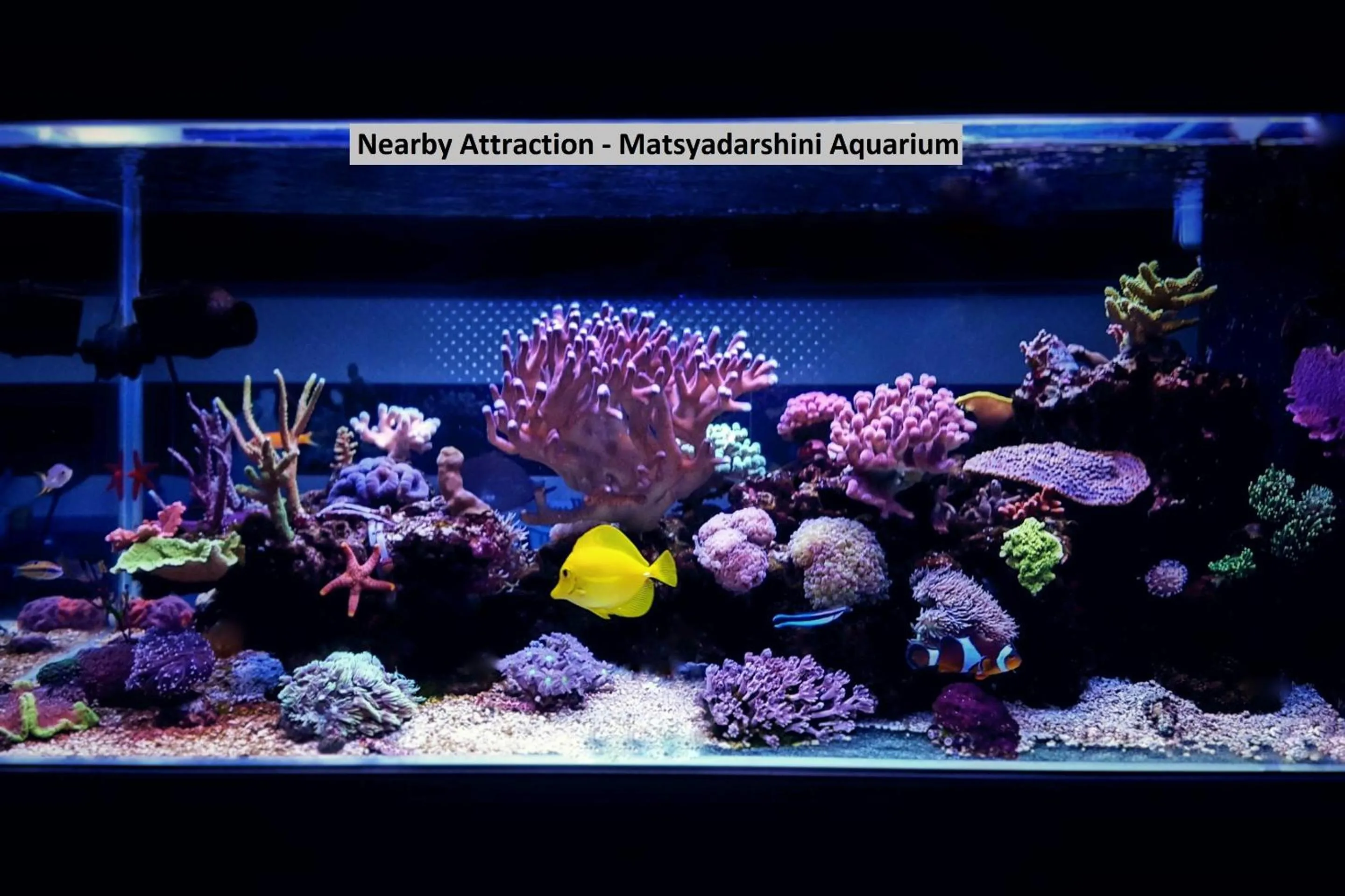 Nearby landmark in Super Hotel O Stay Inn Maharani Peta