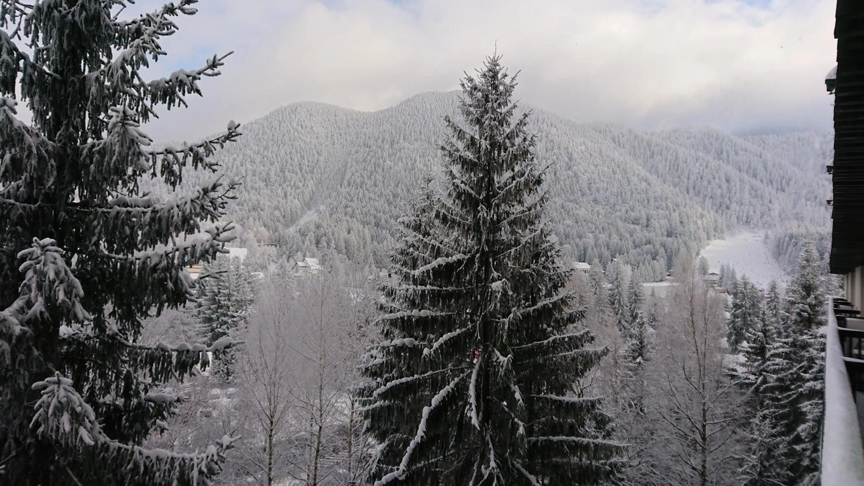 Natural landscape in Apartament 2706 Alpin Resort, etaj 7, Poiana Brașov