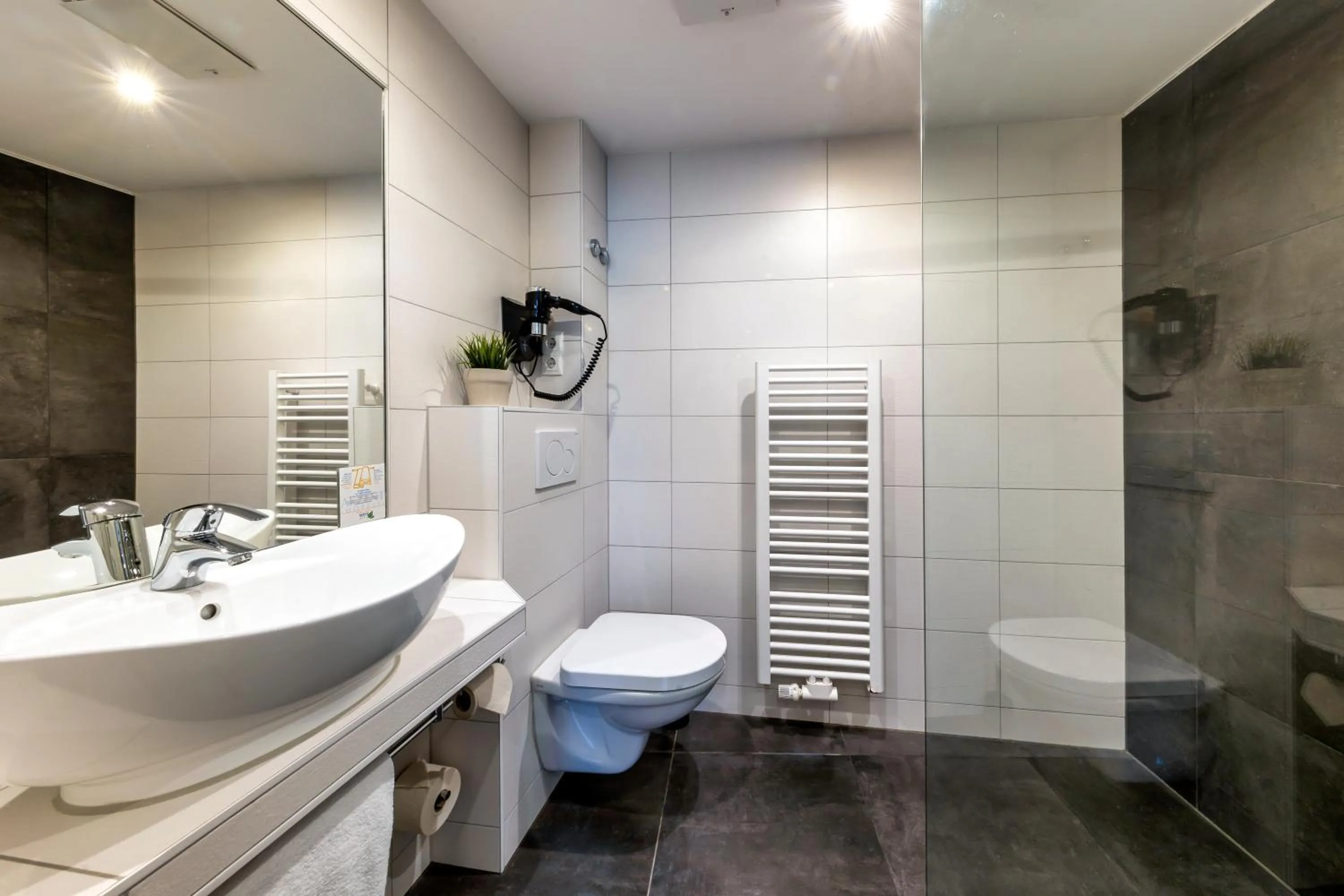 Shower in AKZENT Hotel Restaurant Roter Ochse Rhens bei Koblenz