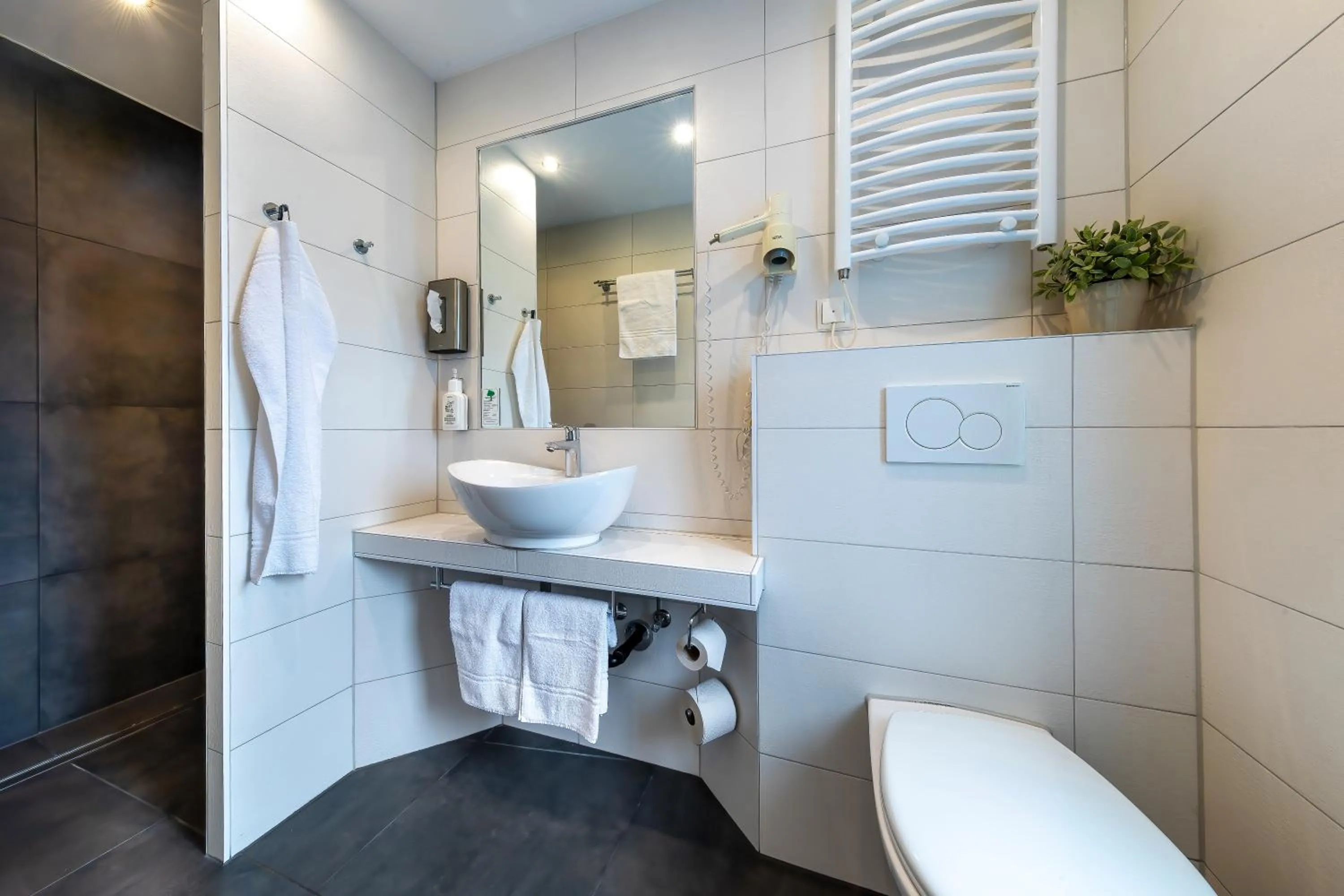 Bathroom in AKZENT Hotel Restaurant Roter Ochse Rhens bei Koblenz