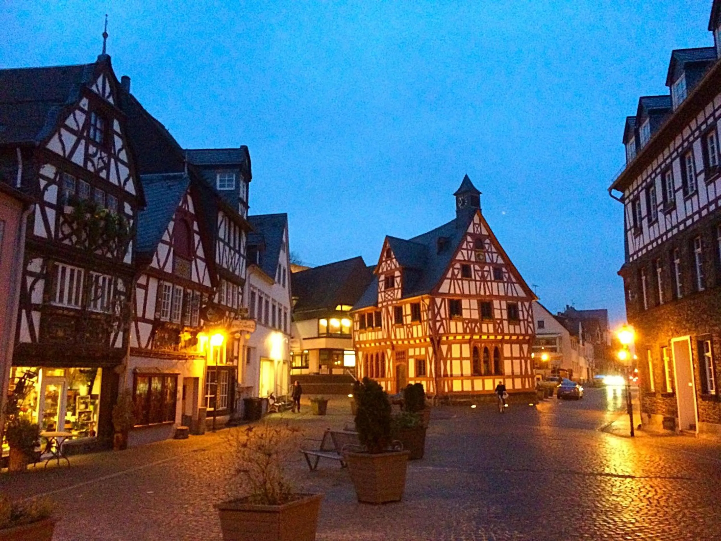 Nearby landmark in AKZENT Hotel Restaurant Roter Ochse Rhens bei Koblenz