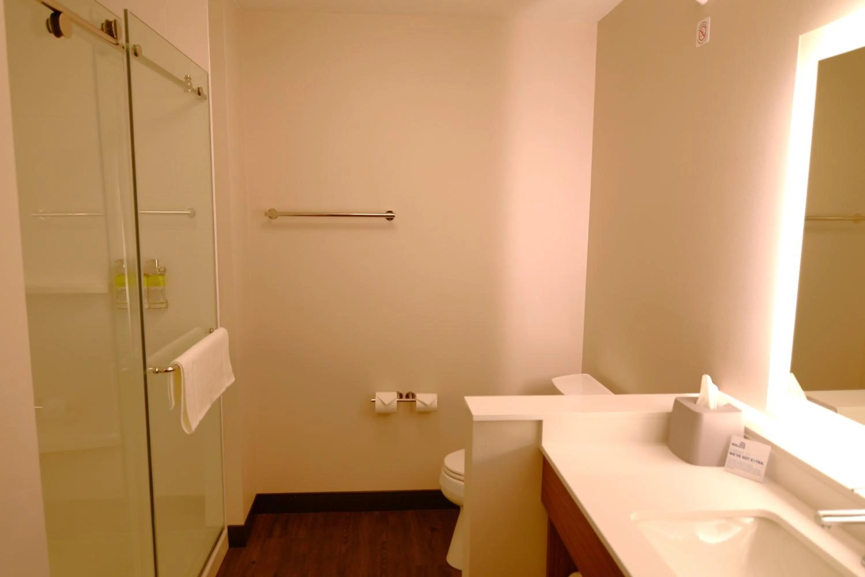 Bathroom in Holiday Inn Express & Suites Onalaska - La Crosse Area by IHG